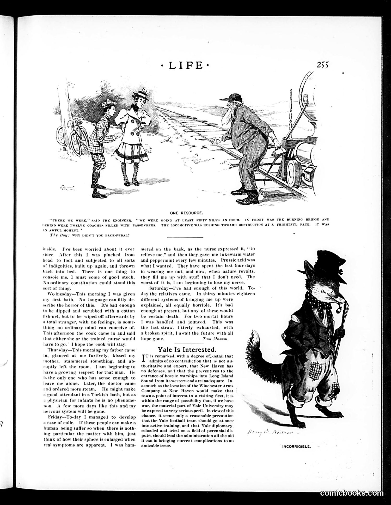 Life — March 31, 1898 — page 15 of 20