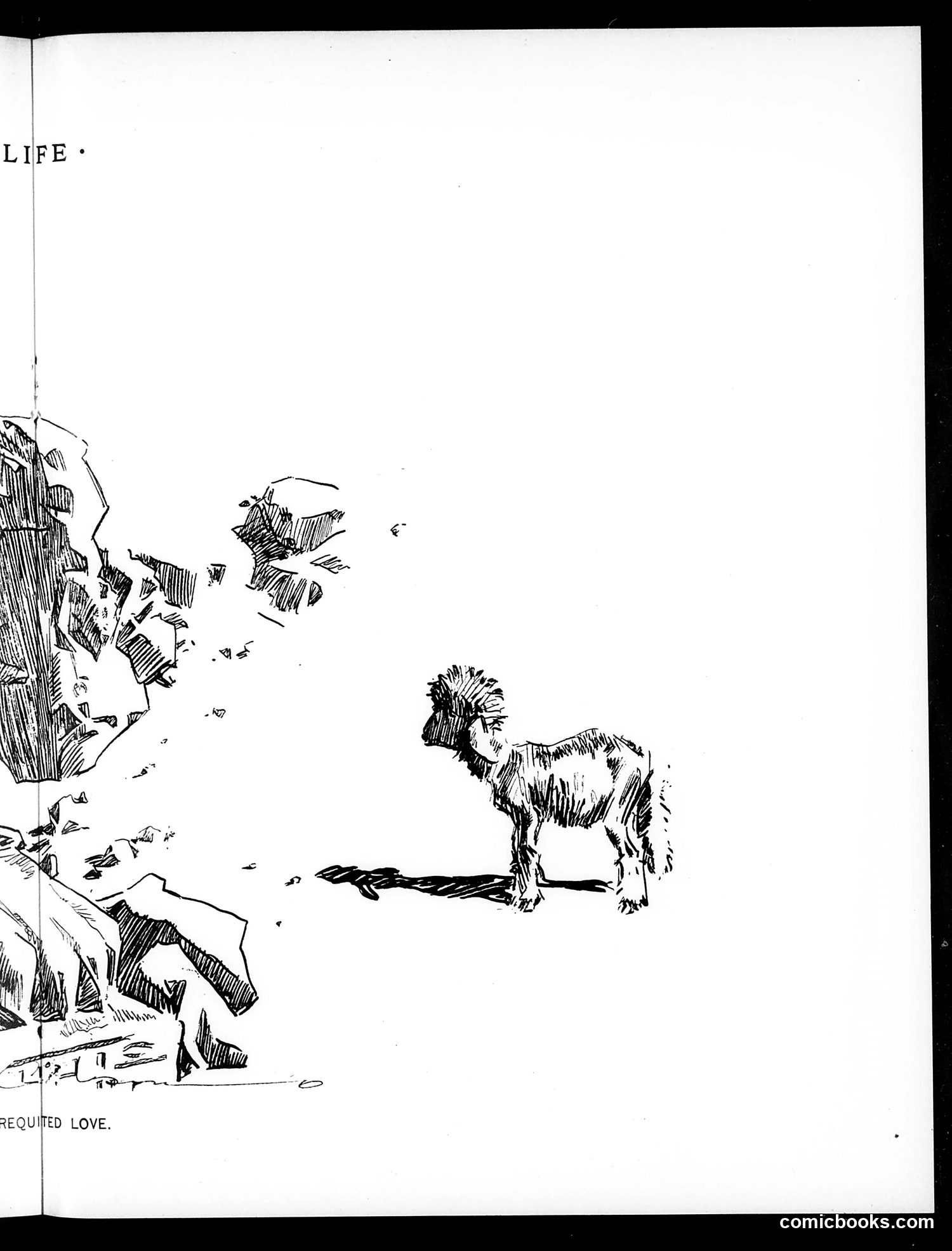 Life — May 12, 1898 — page 11 of 20