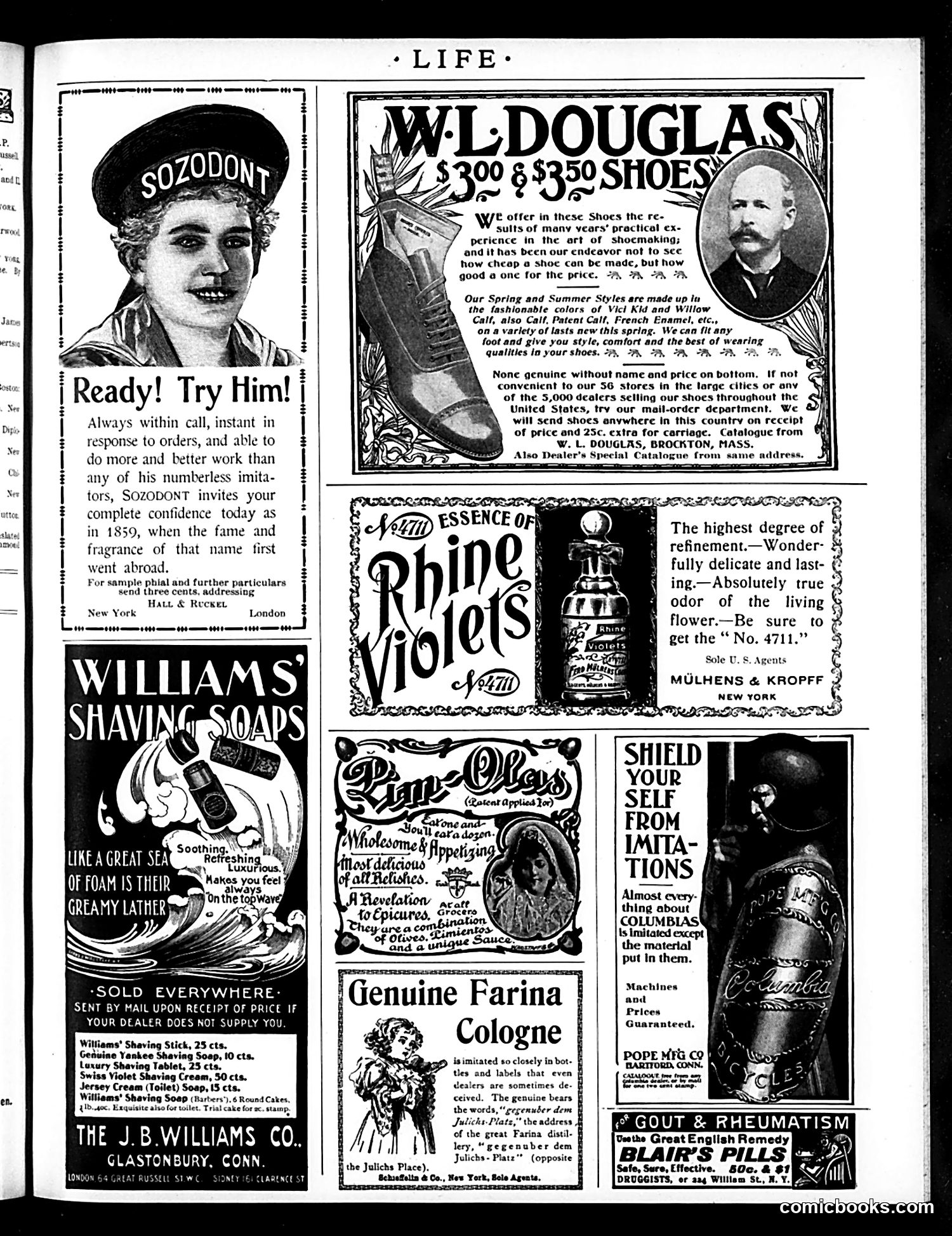 Life — May 12, 1898 — page 17 of 20