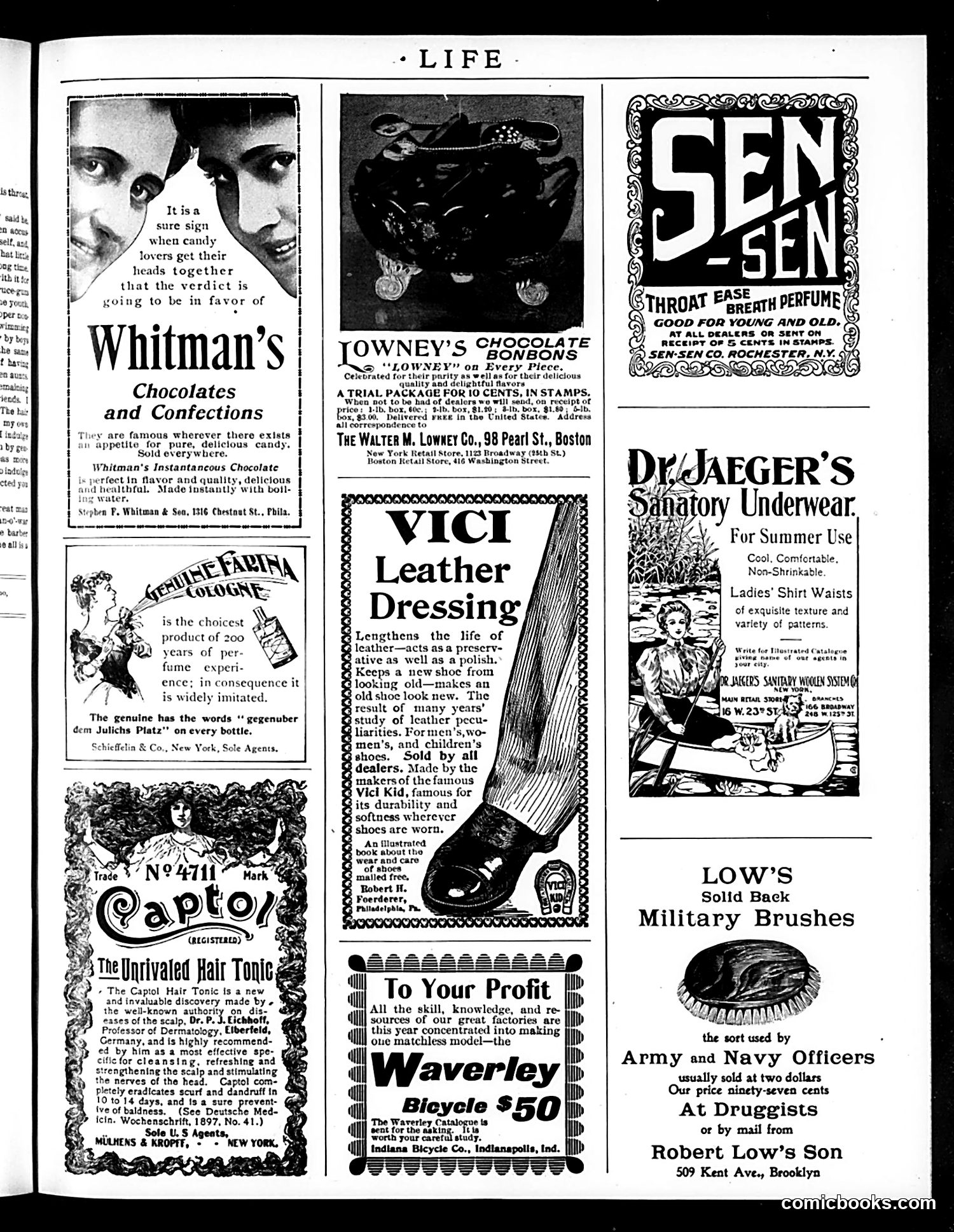 Life — May 19, 1898 — page 17 of 20