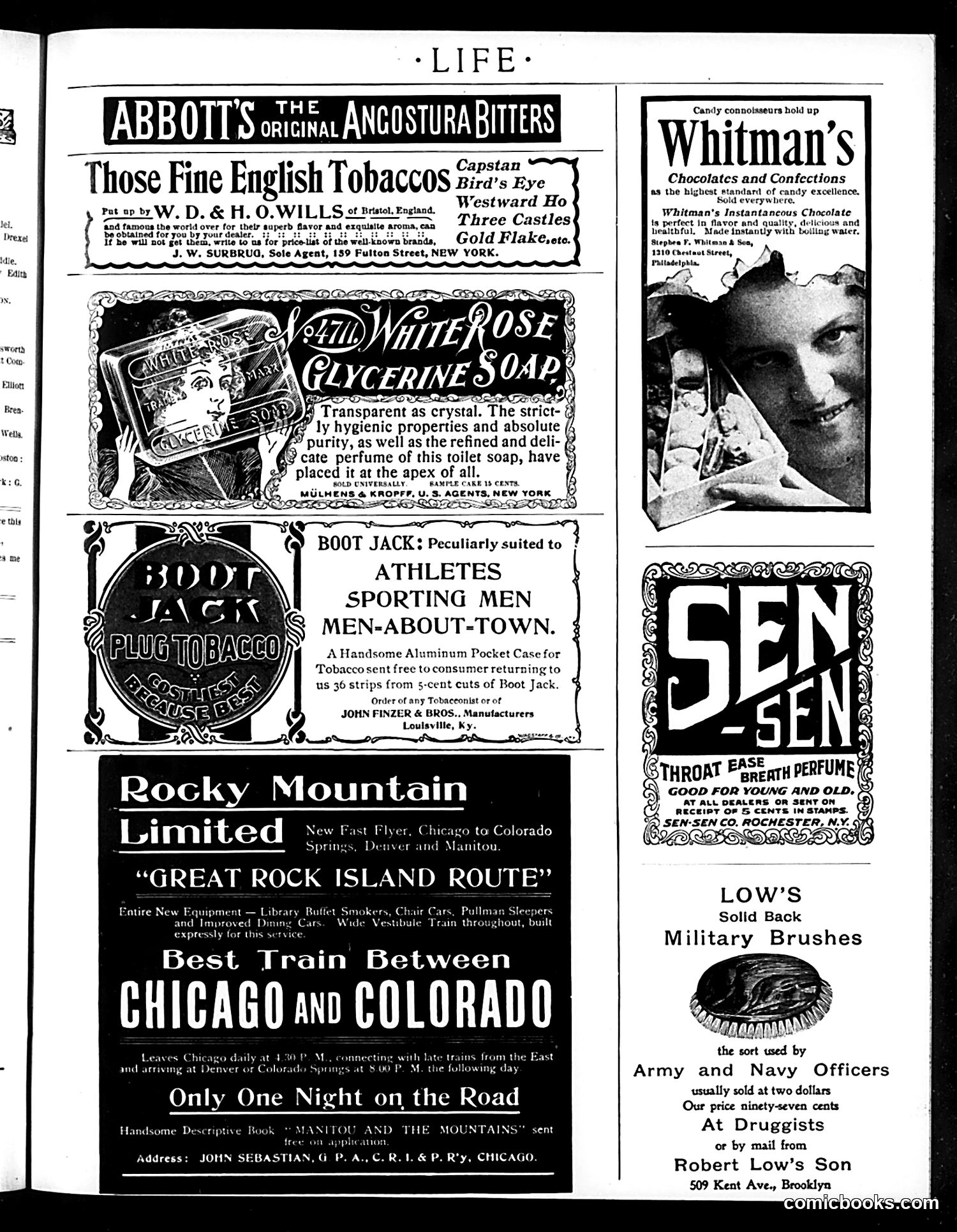 Life — June 2, 1898 — page 17 of 20