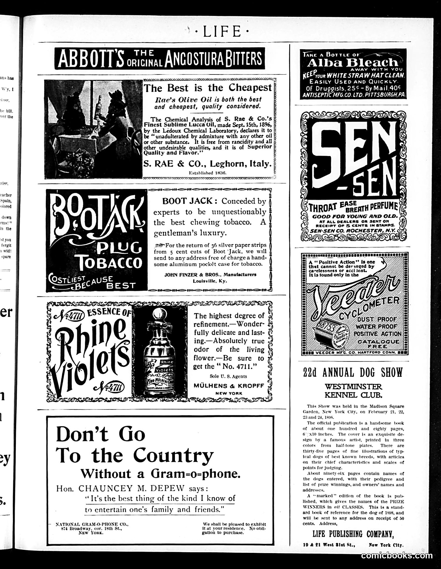 Life — June 16, 1898 — page 17 of 20