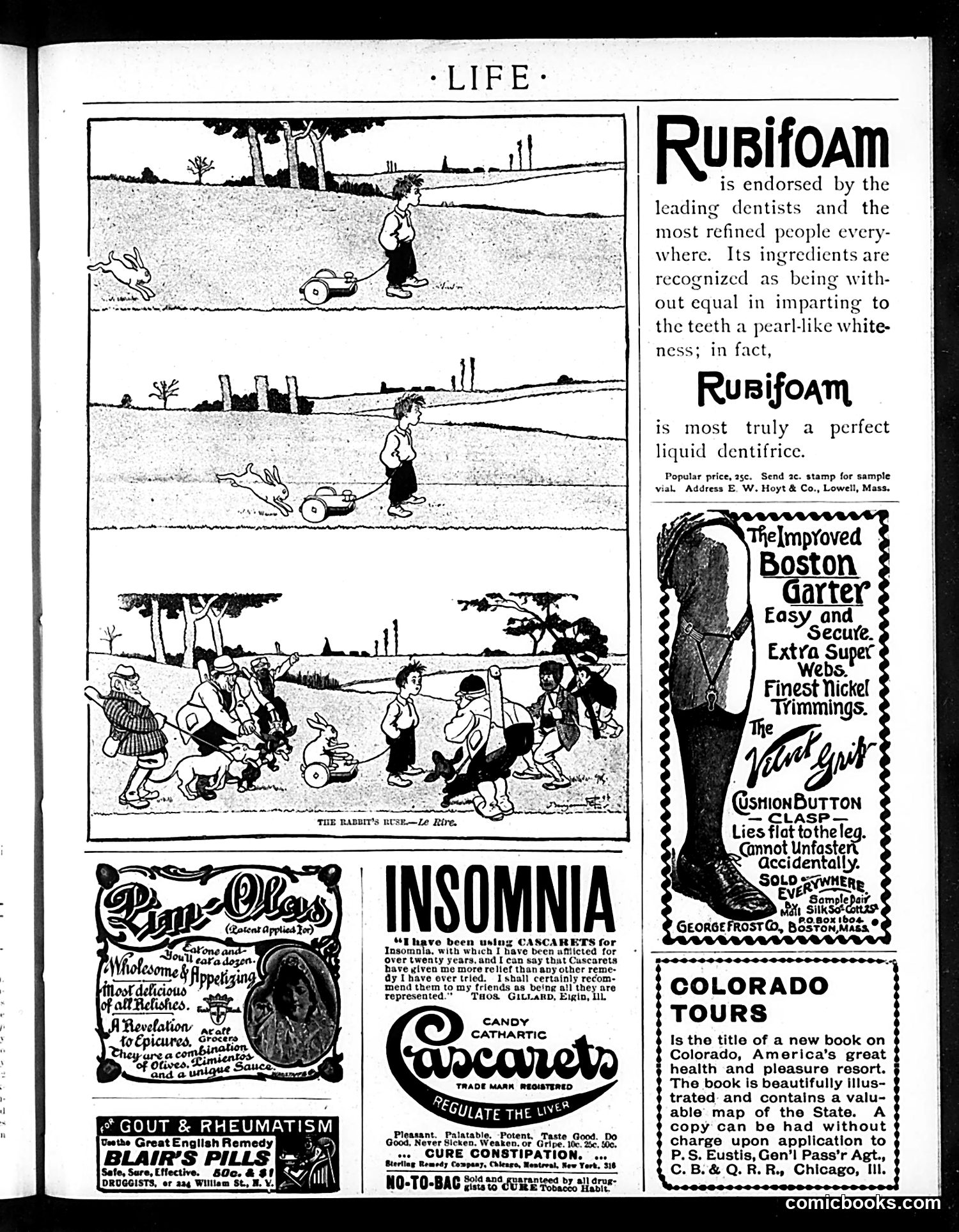 Life — June 23, 1898 — page 19 of 20