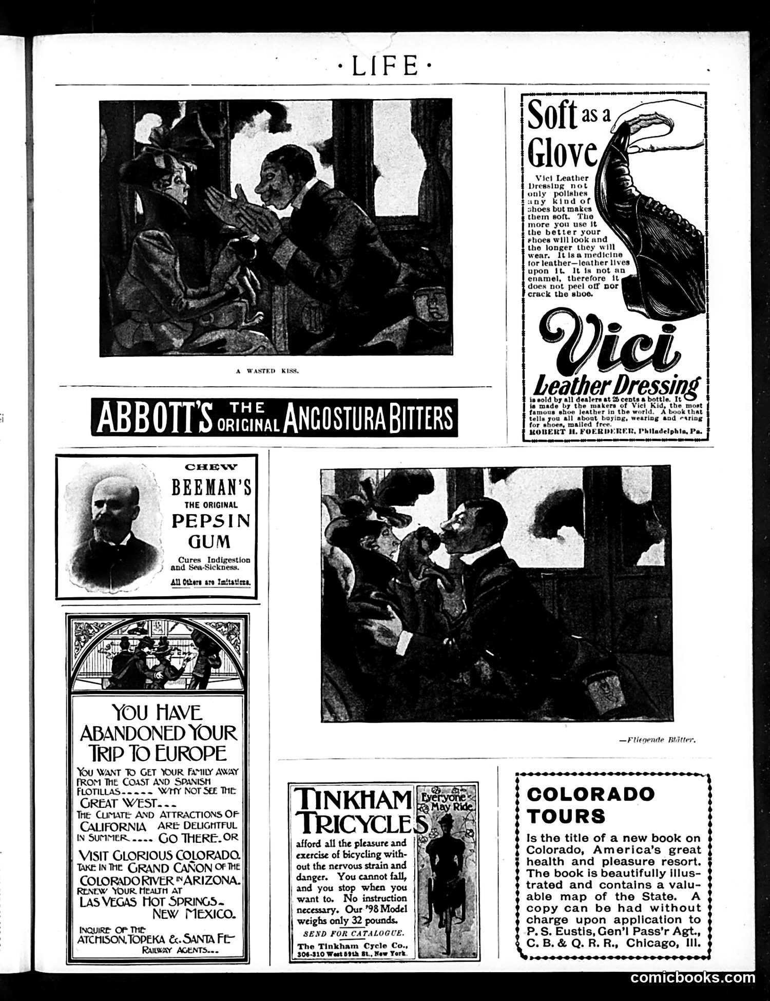 Life — June 30, 1898 — page 19 of 21