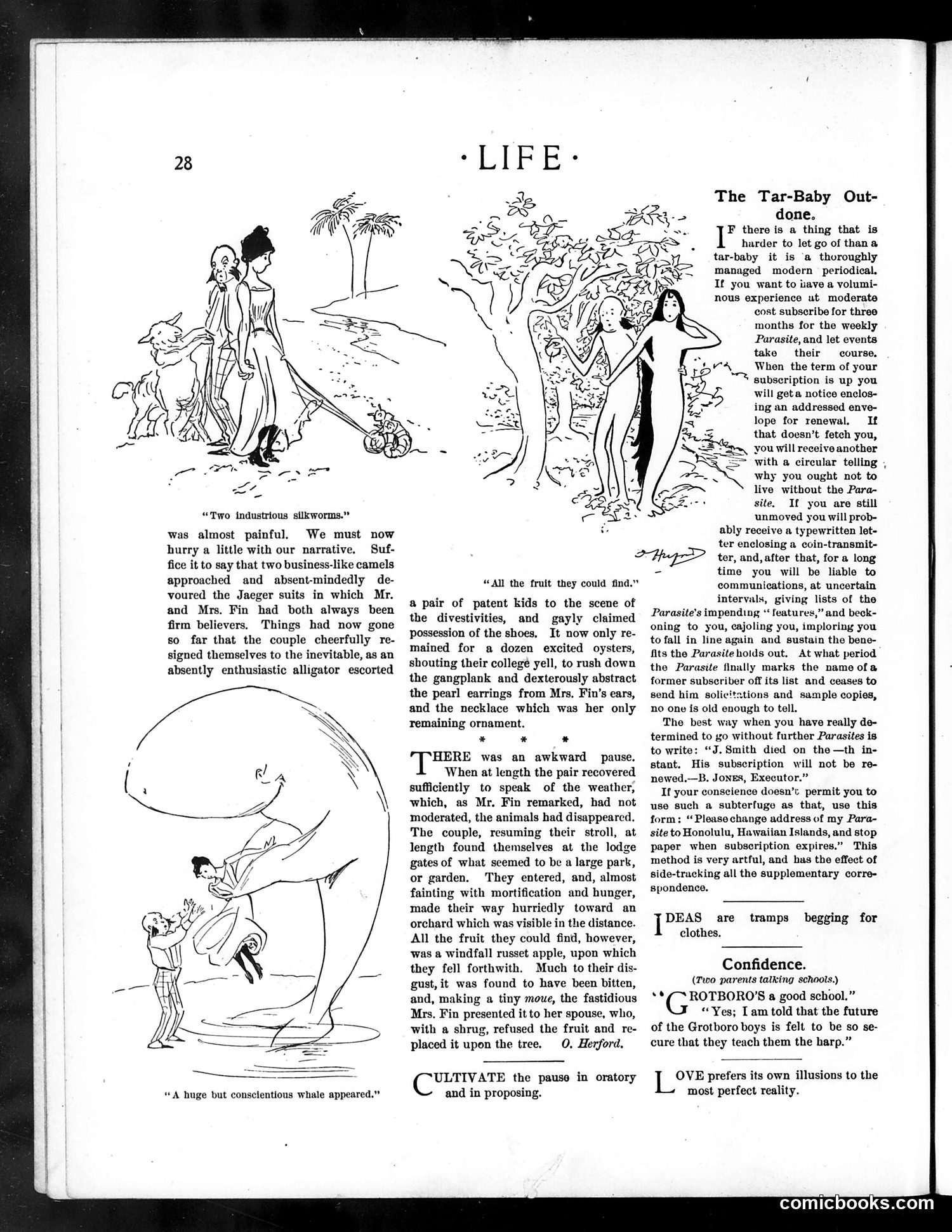 Life — July 14, 1898 — page 8 of 20