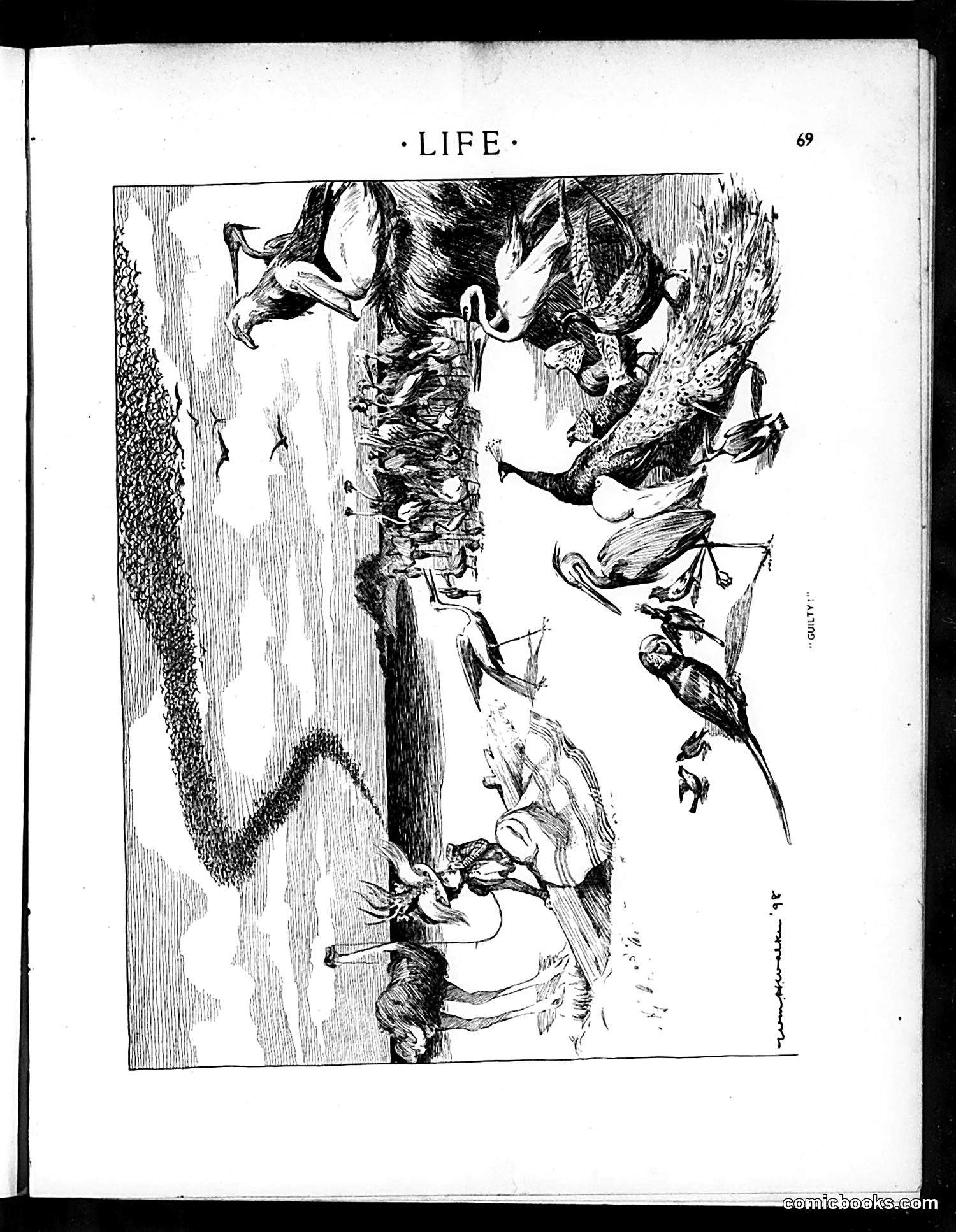 Life — July 28, 1898 — page 9 of 20
