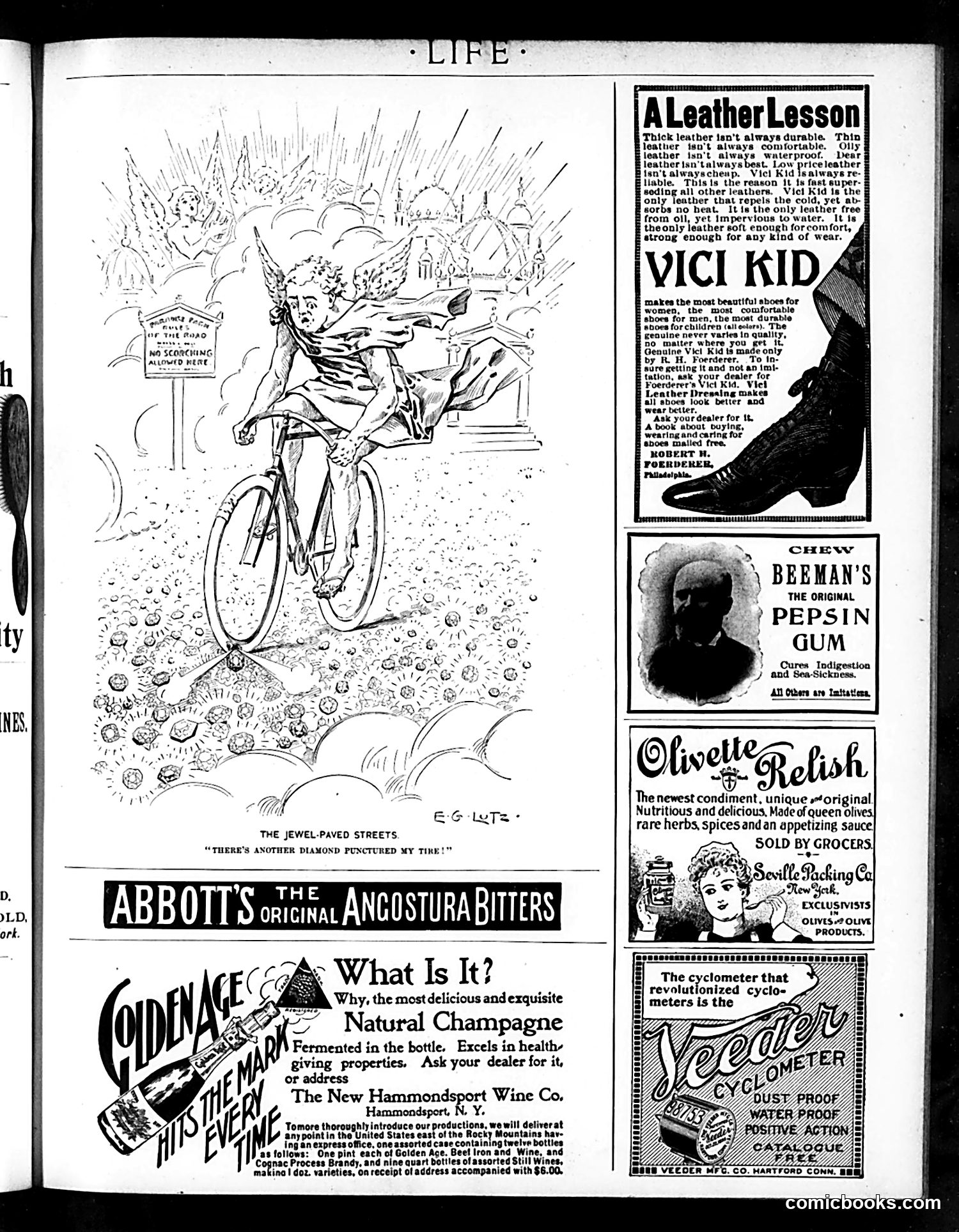 Life — July 28, 1898 — page 19 of 20