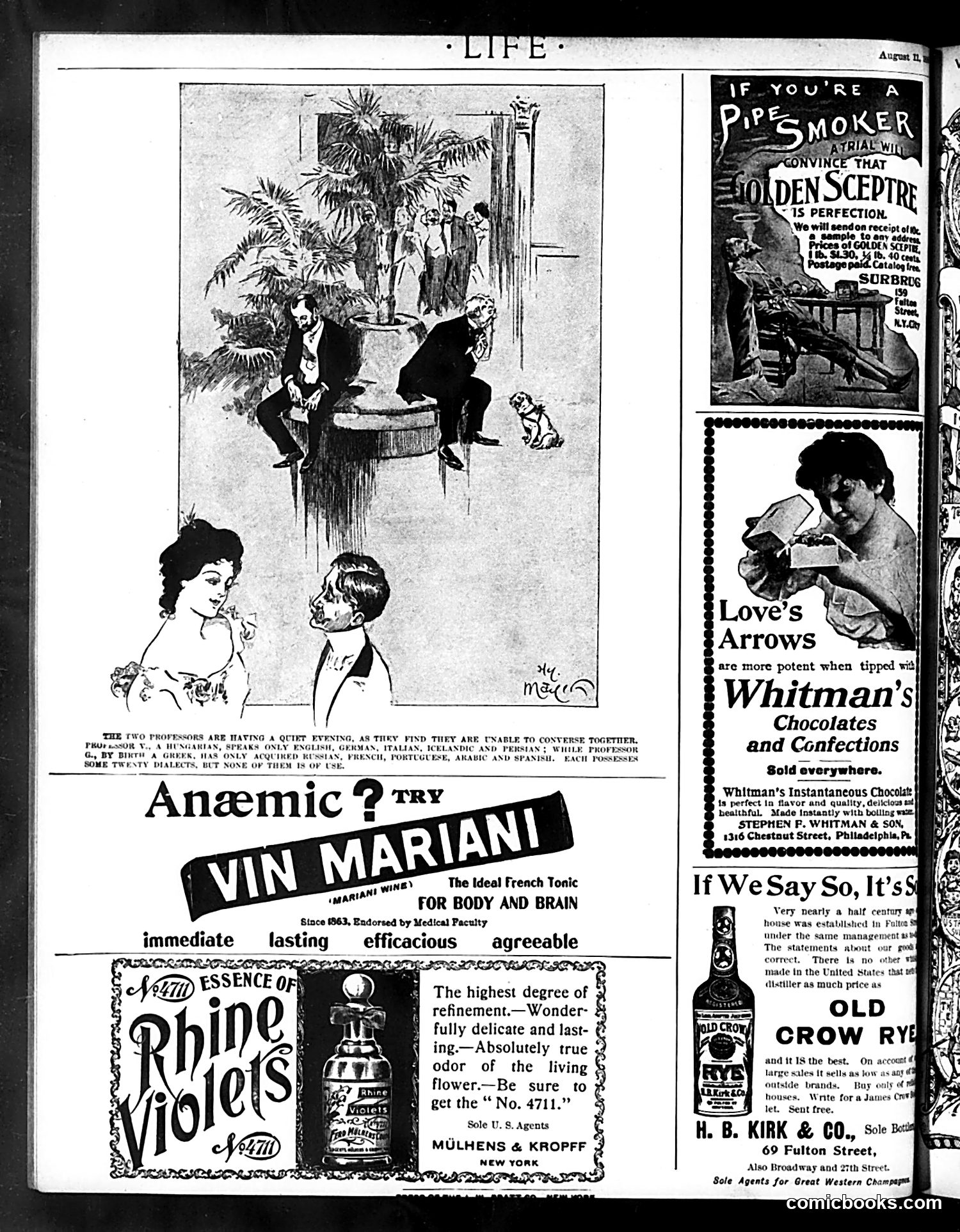 Life — August 11, 1898 — page 20 of 20