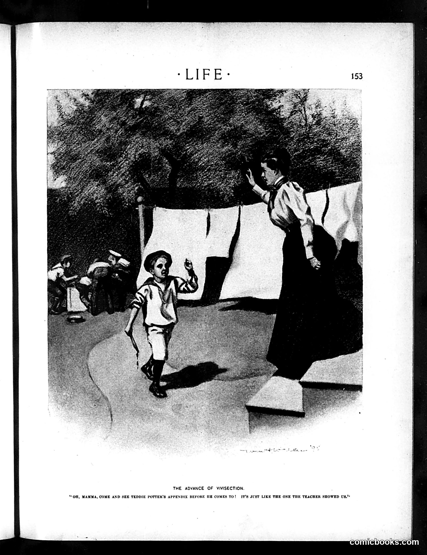 Life — August 25, 1898 — page 13 of 20