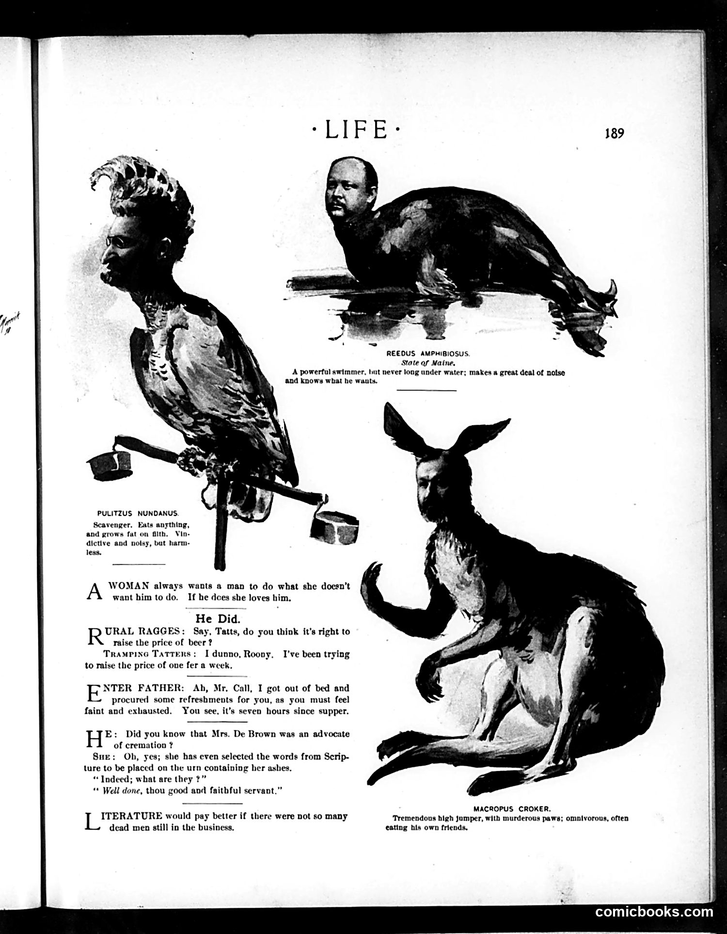 Life — September 8, 1898 — page 9 of 20