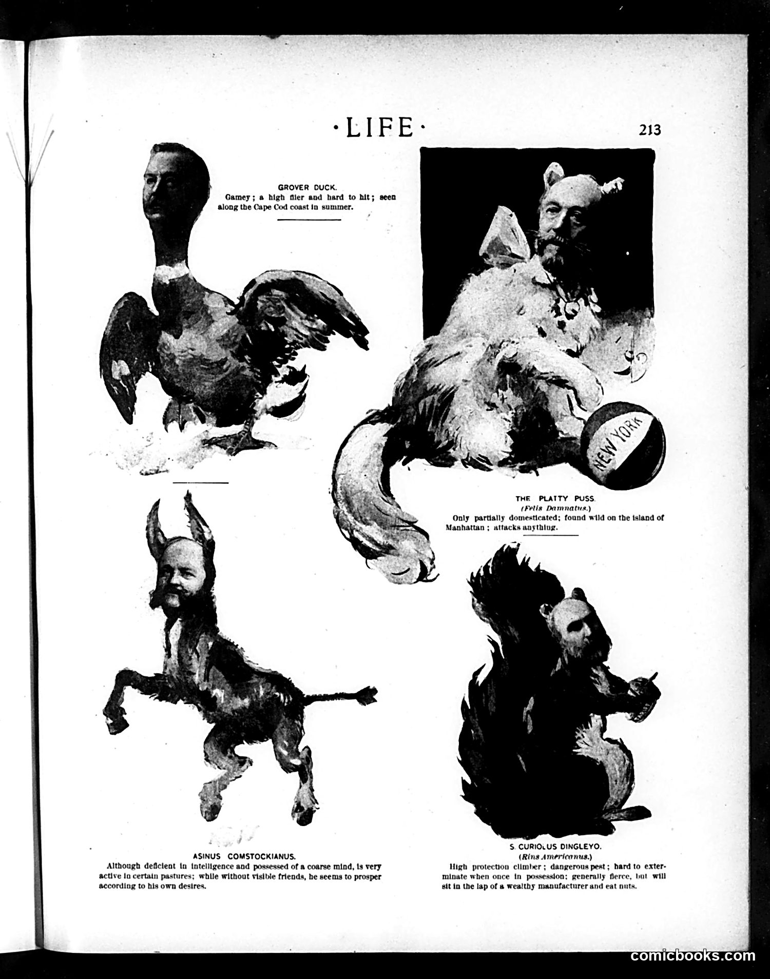 Life — September 15, 1898 — page 13 of 20