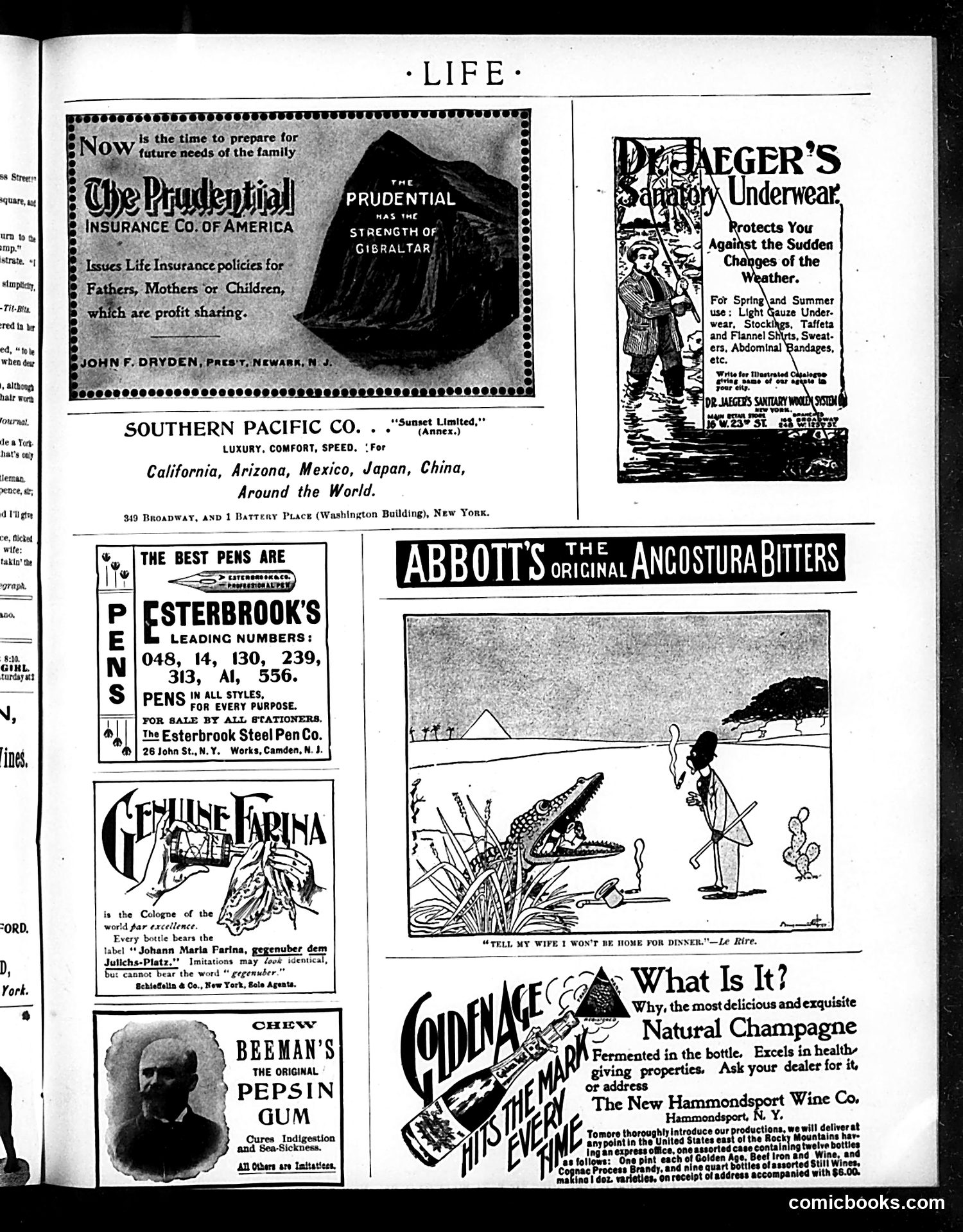 Life — September 22, 1898 — page 17 of 20