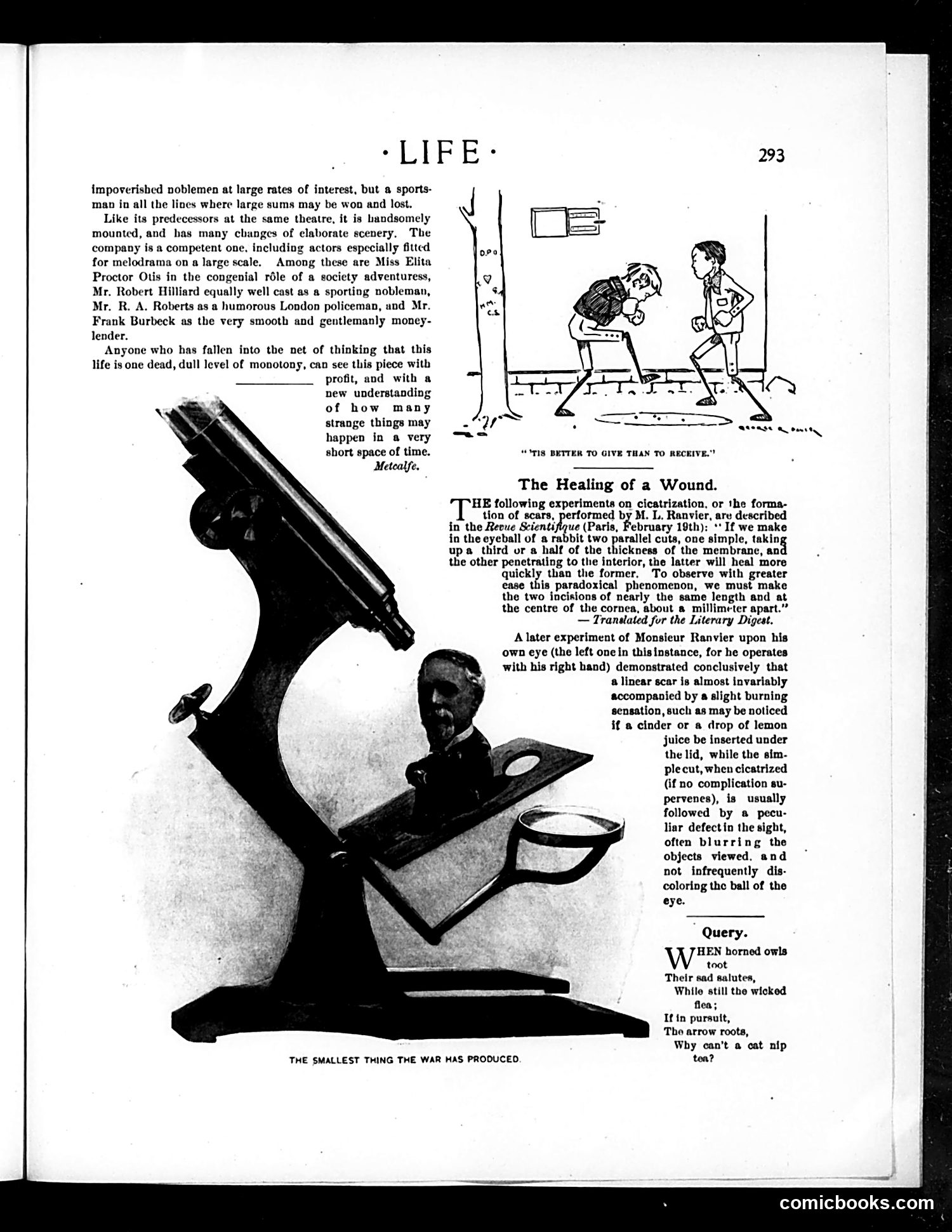 Life — October 13, 1898 — page 13 of 20