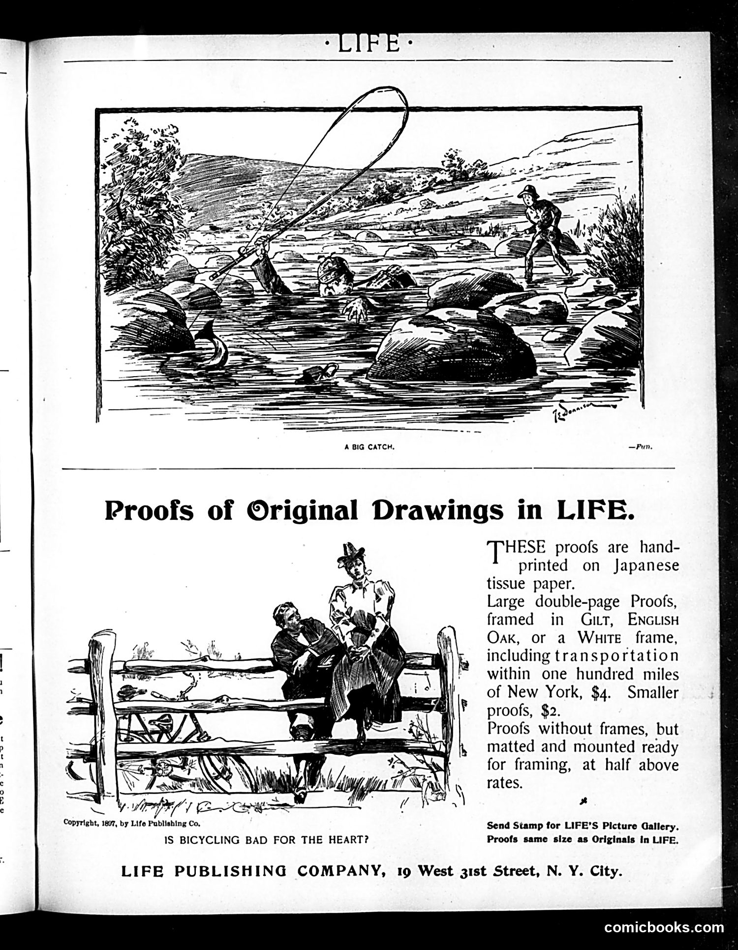 Life — October 13, 1898 — page 19 of 20