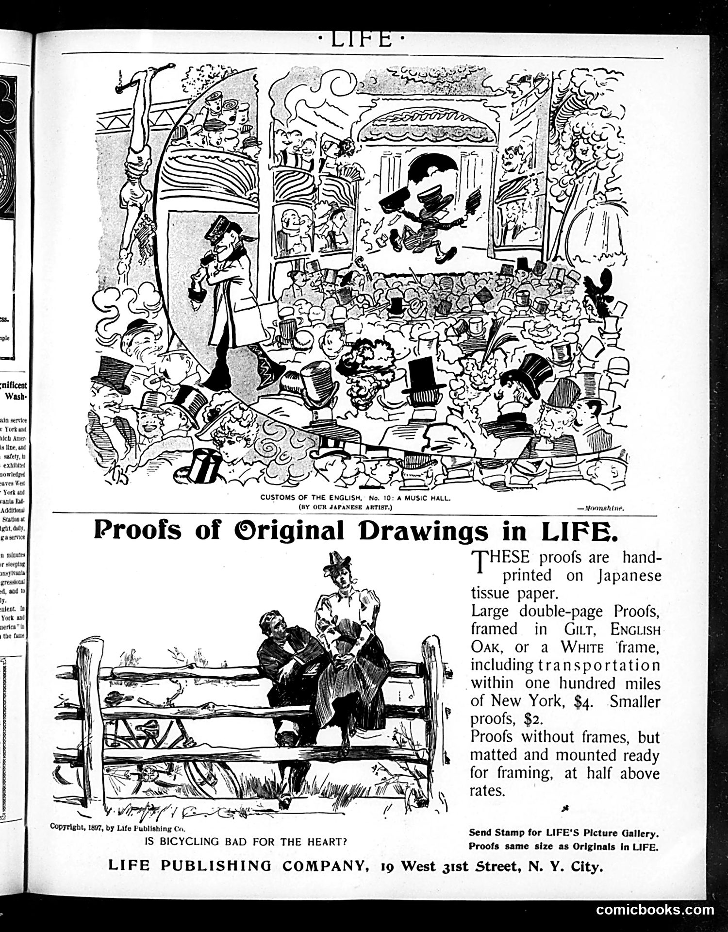 Life — October 20, 1898 — page 19 of 20