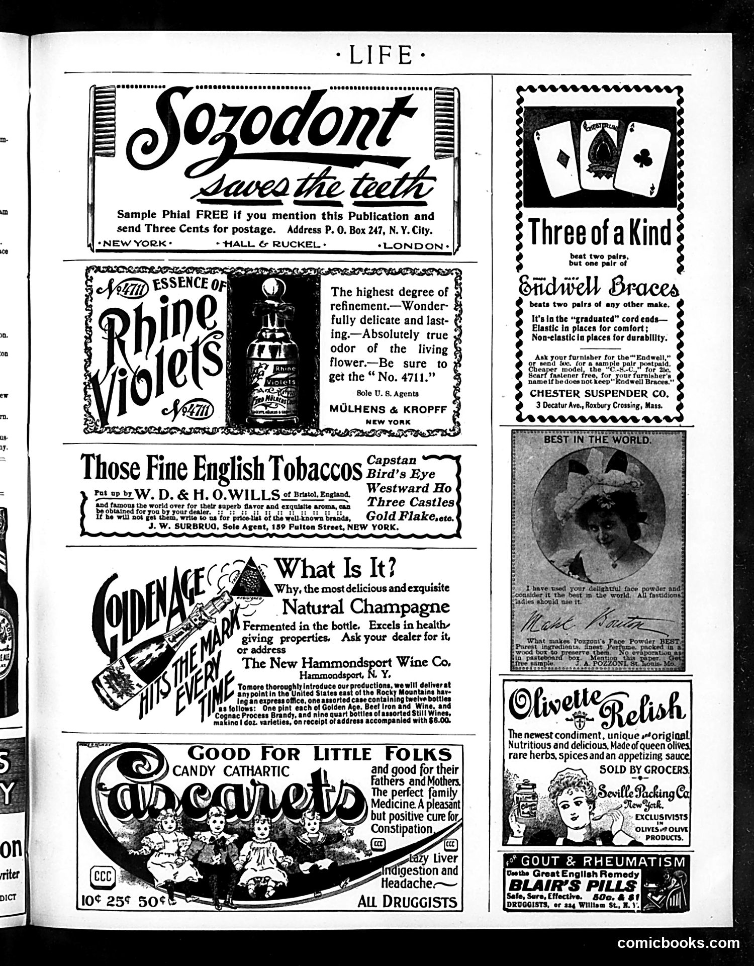 Life — October 27, 1898 — page 17 of 20