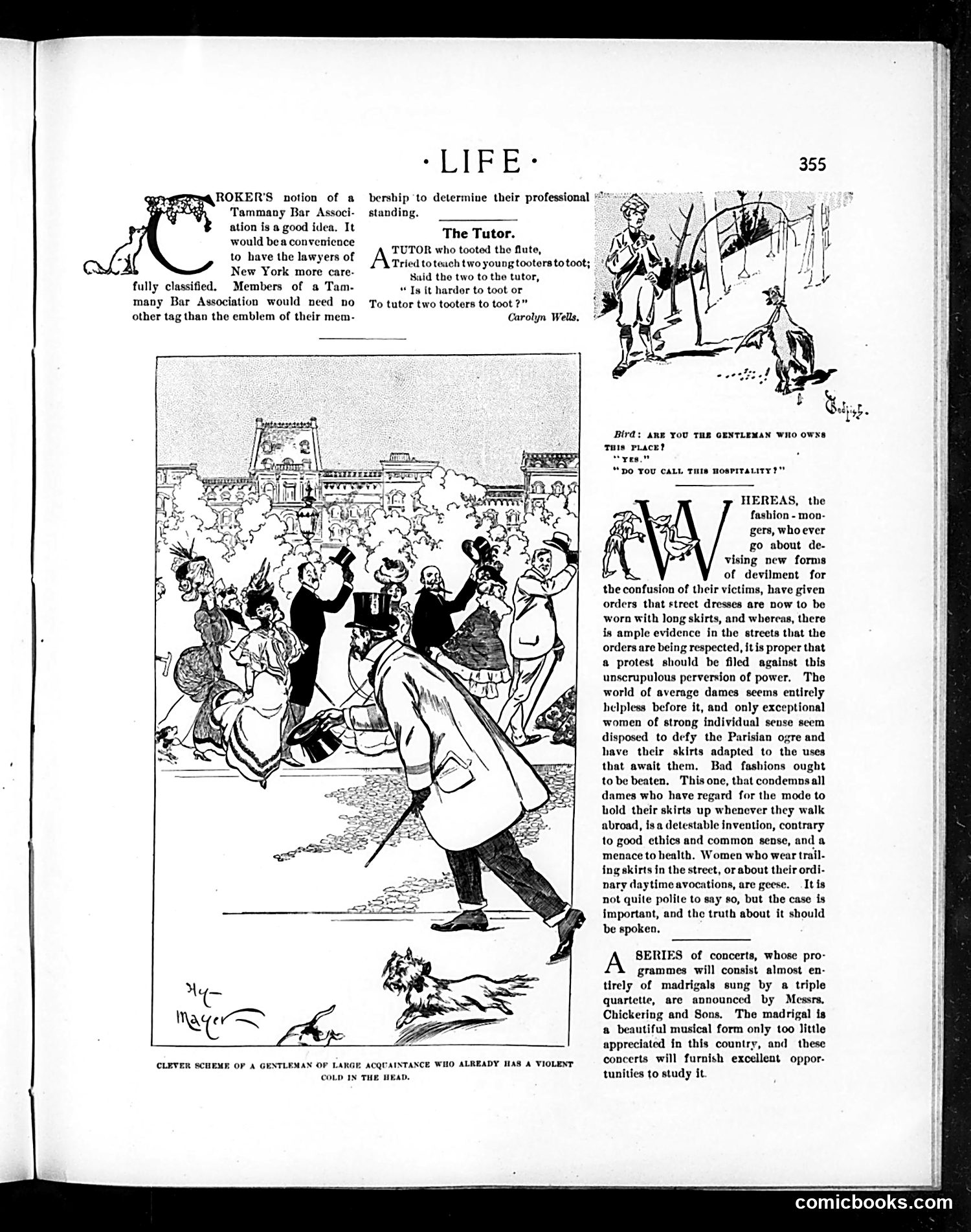 Life — November 3, 1898 — page 15 of 20