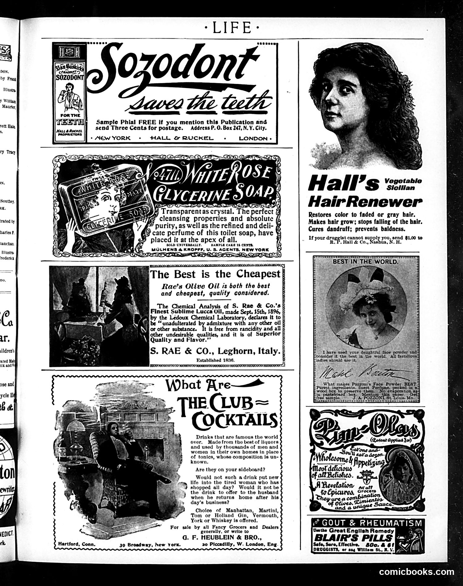 Life — November 10, 1898 — page 17 of 20