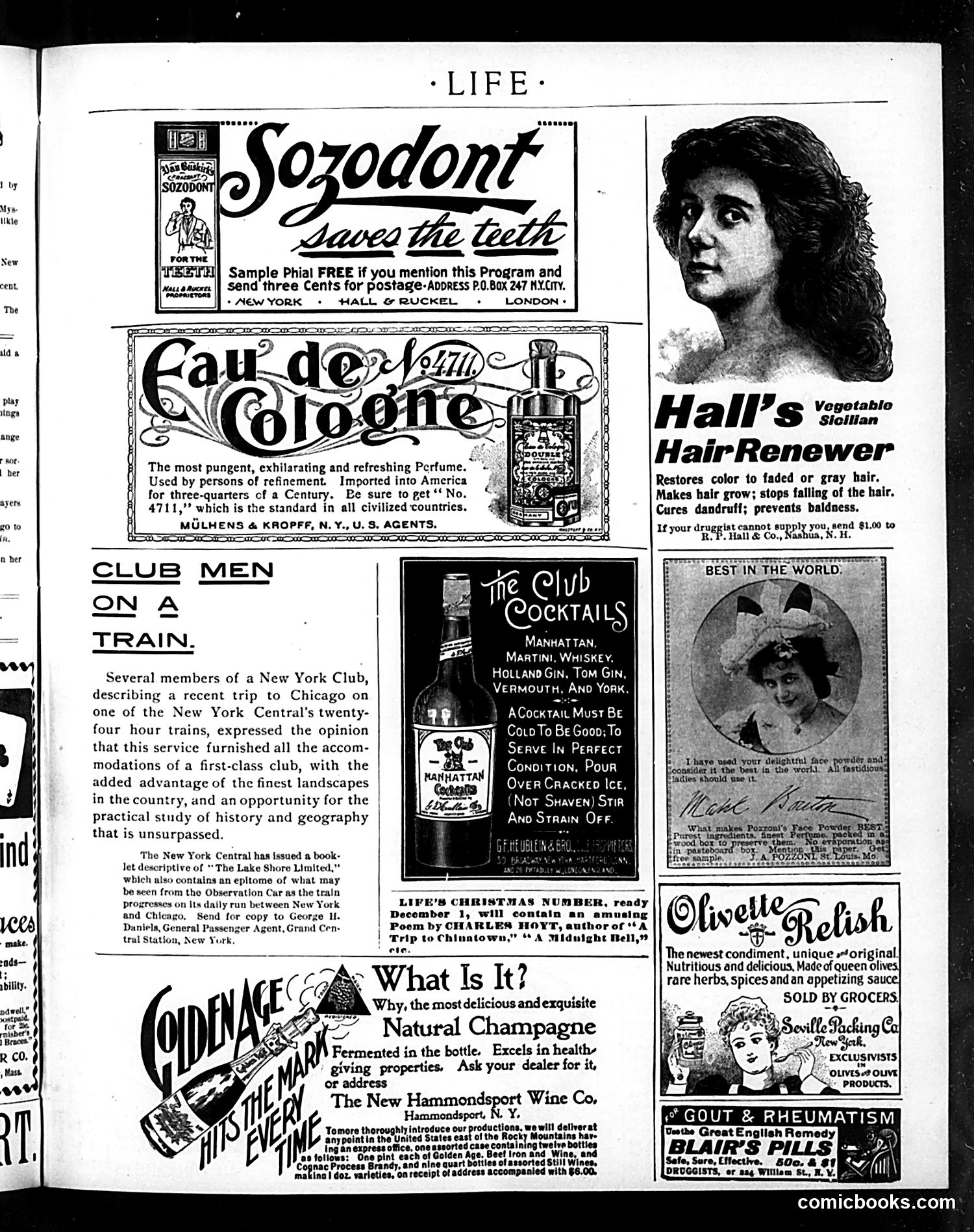 Life — November 24, 1898 — page 17 of 20