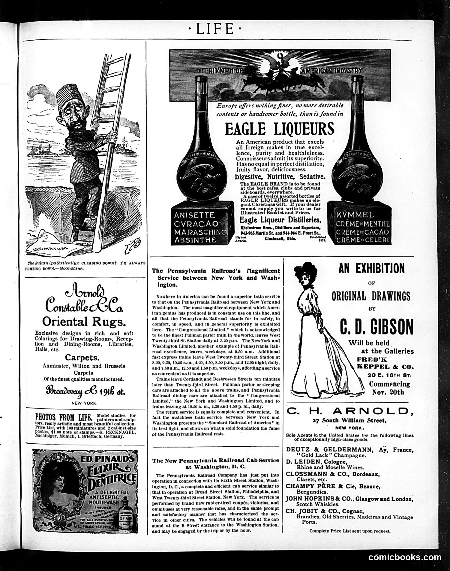 Life — November 24, 1898 — page 19 of 20