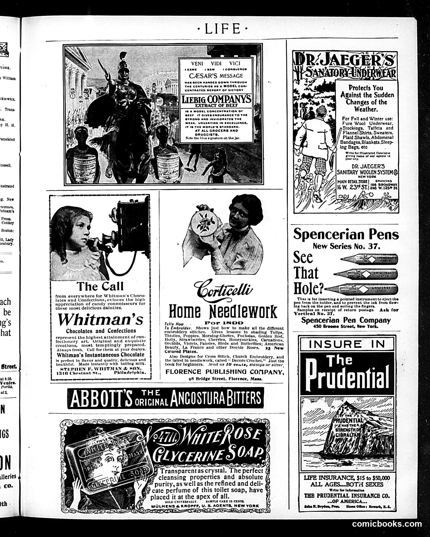 Life — December 1, 1898 — page 17 of 21