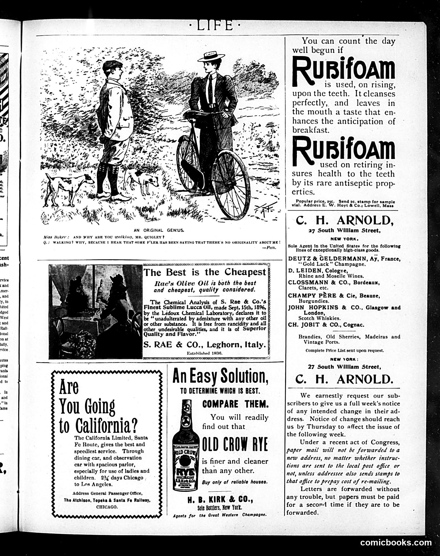 Life — December 1, 1898 — page 19 of 21