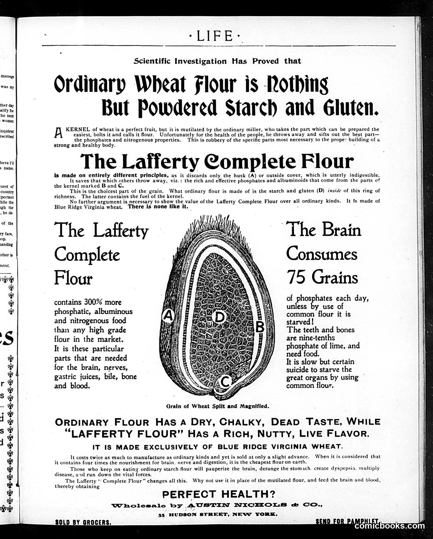 Life — December 3, 1898 — page 37 of 40
