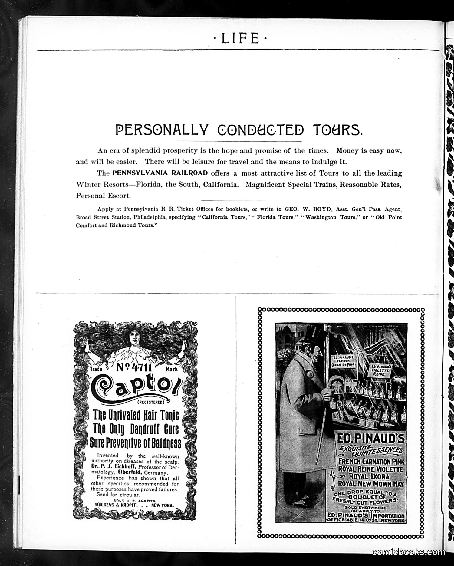 Life — December 3, 1898 — page 38 of 40