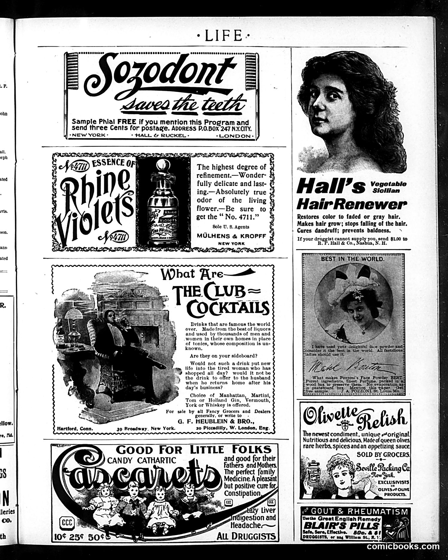Life — December 8, 1898 — page 17 of 20