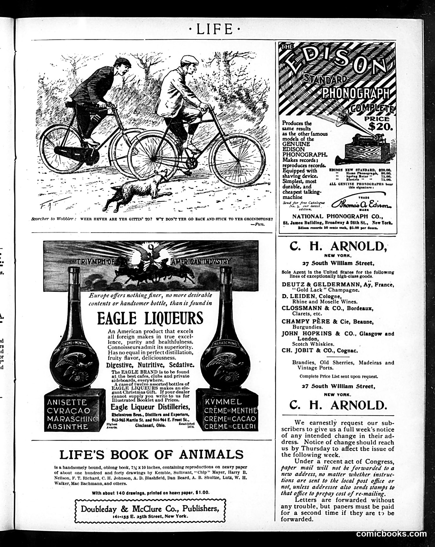 Life — December 8, 1898 — page 19 of 20