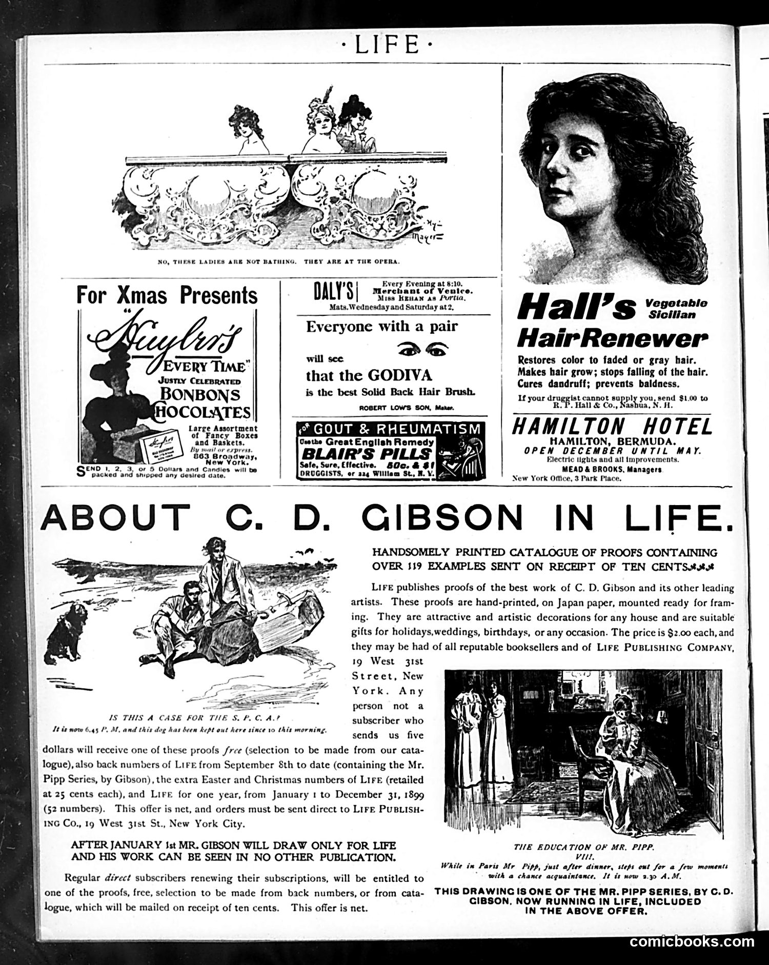 Life — December 22, 1898 — page 20 of 22