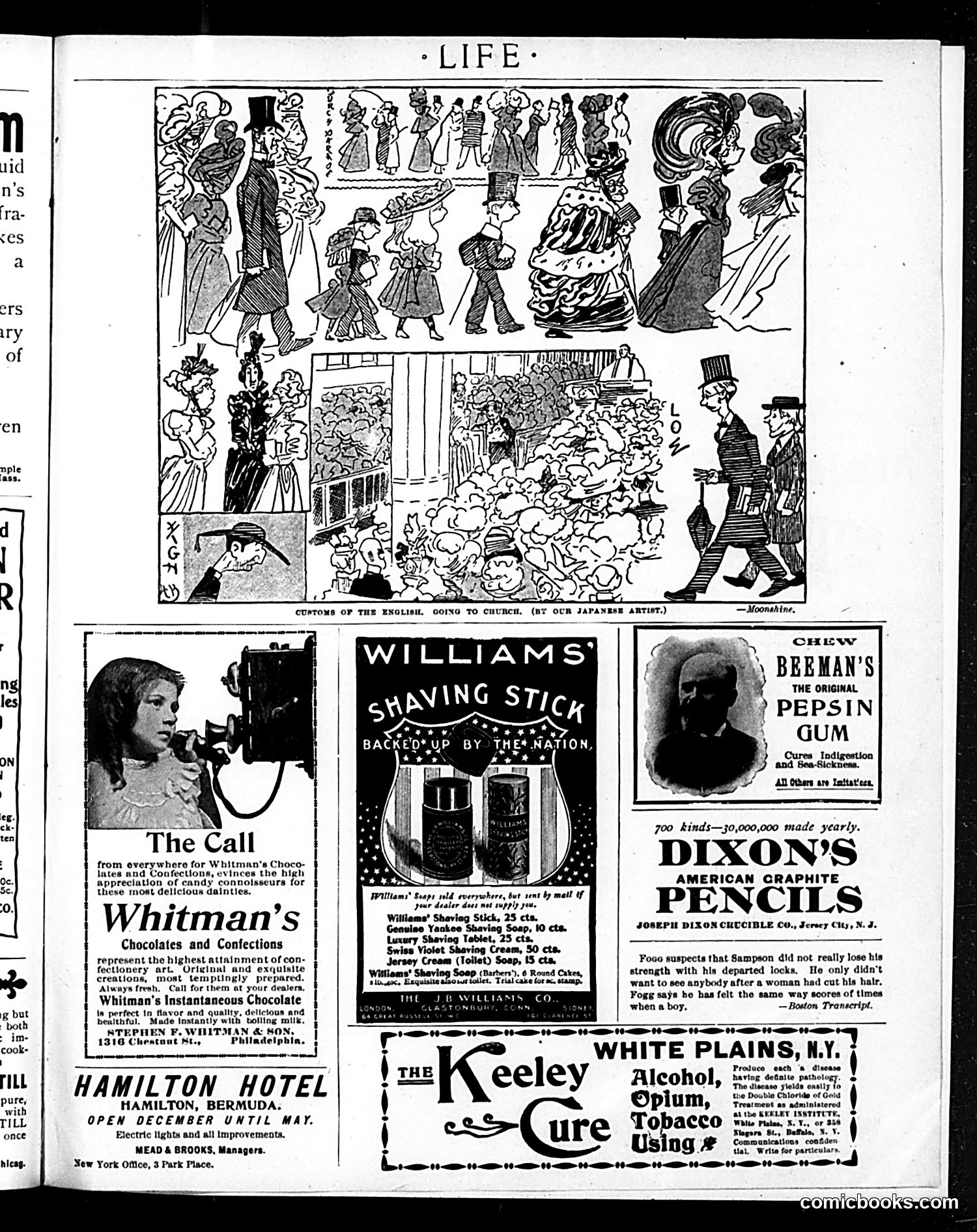 Life — December 29, 1898 — page 19 of 21