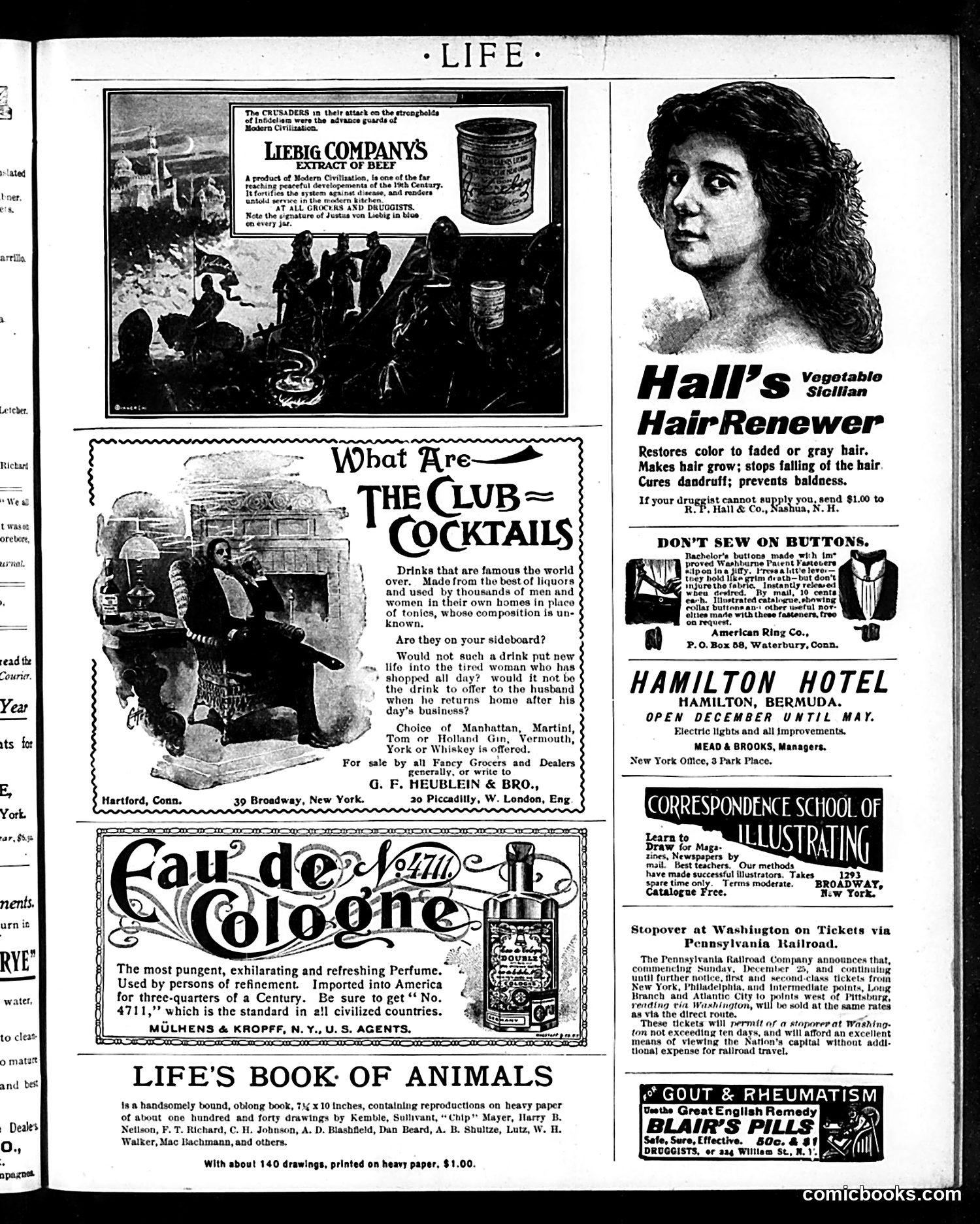 Life — January 5, 1899 — page 17 of 20