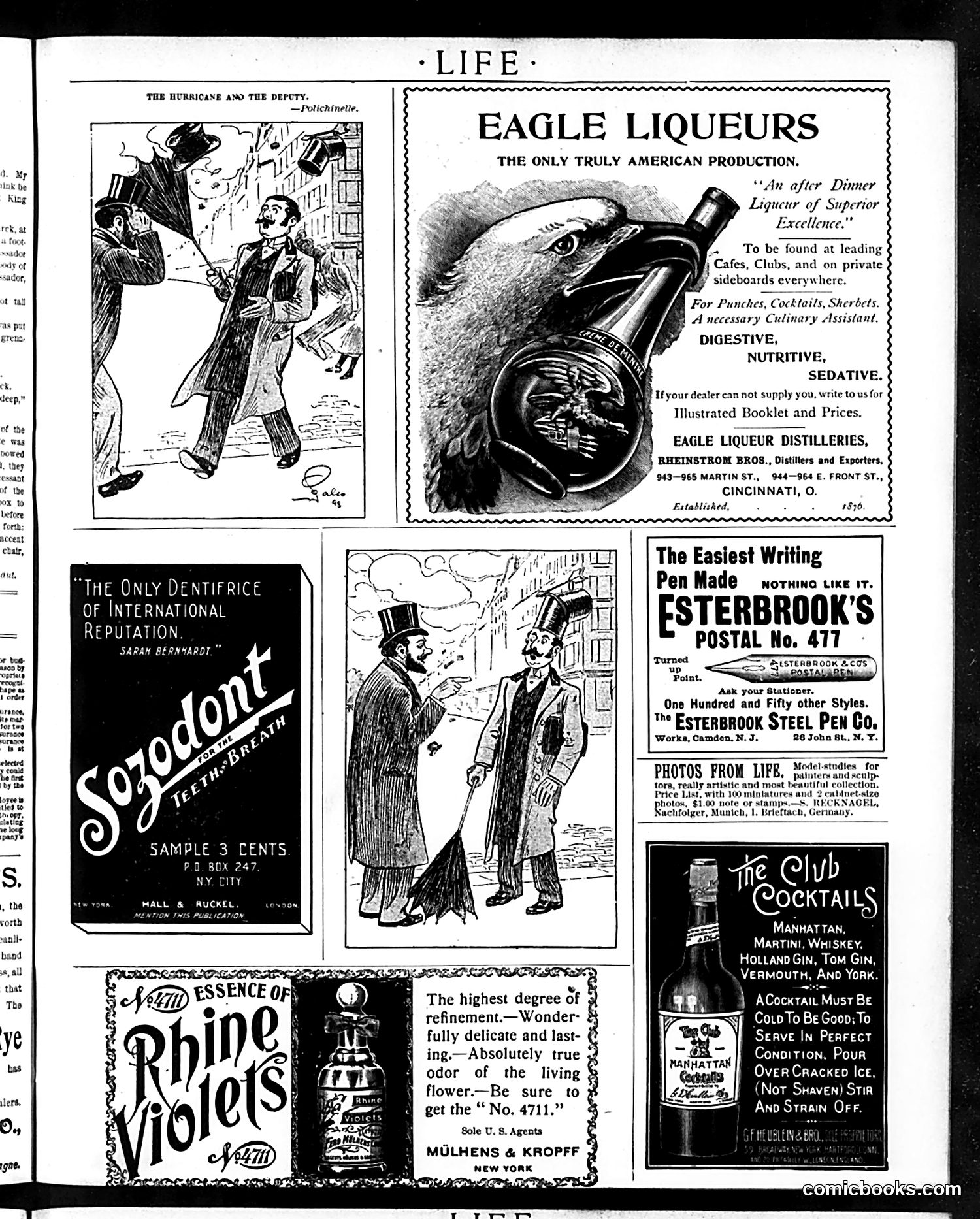 Life — January 19, 1899 — page 17 of 20