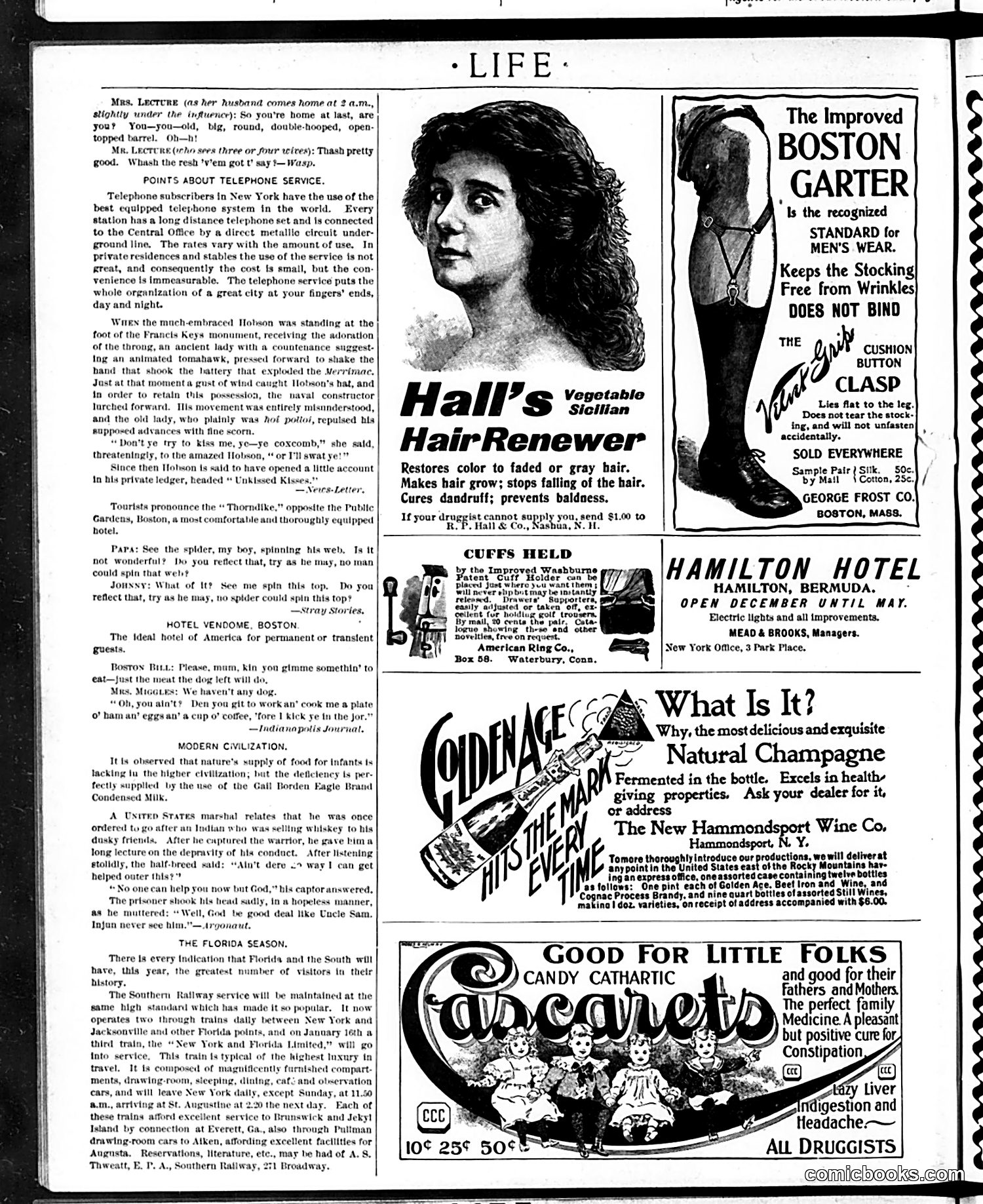 Life — January 19, 1899 — page 18 of 20