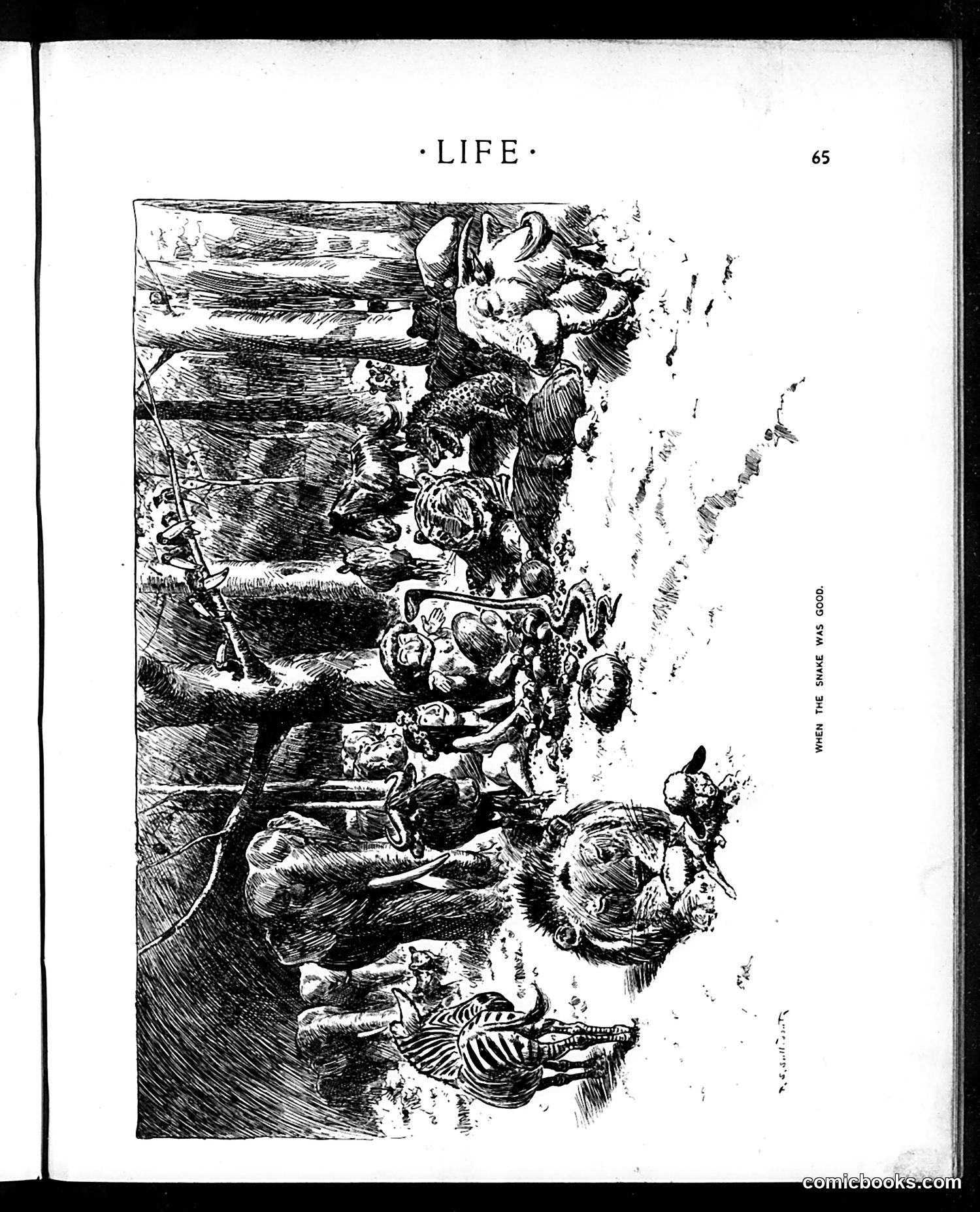 Life — January 26, 1899 — page 5 of 20
