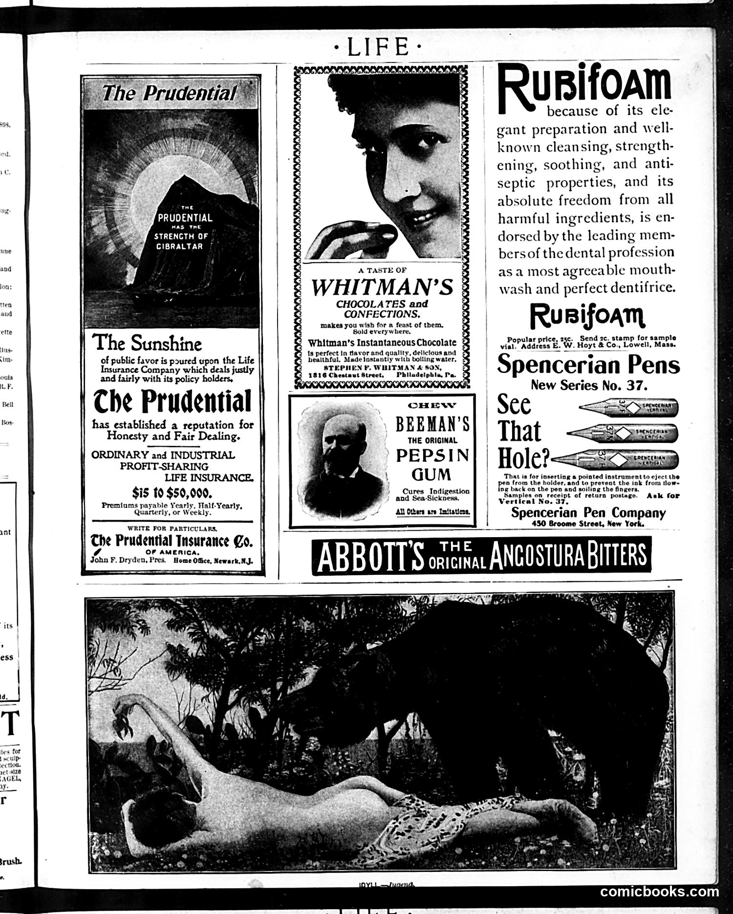 Life — January 26, 1899 — page 17 of 20