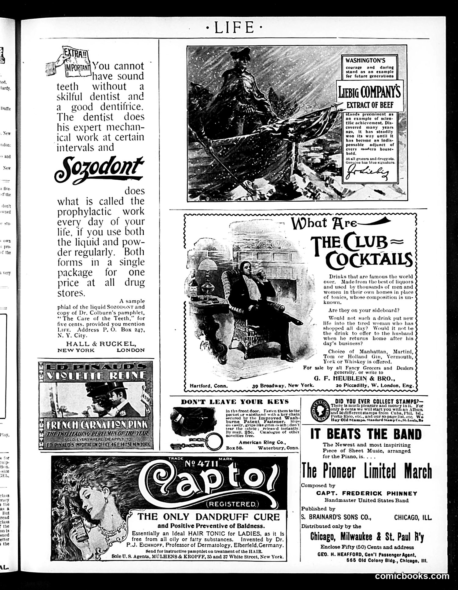 Life — February 2, 1899 — page 17 of 20