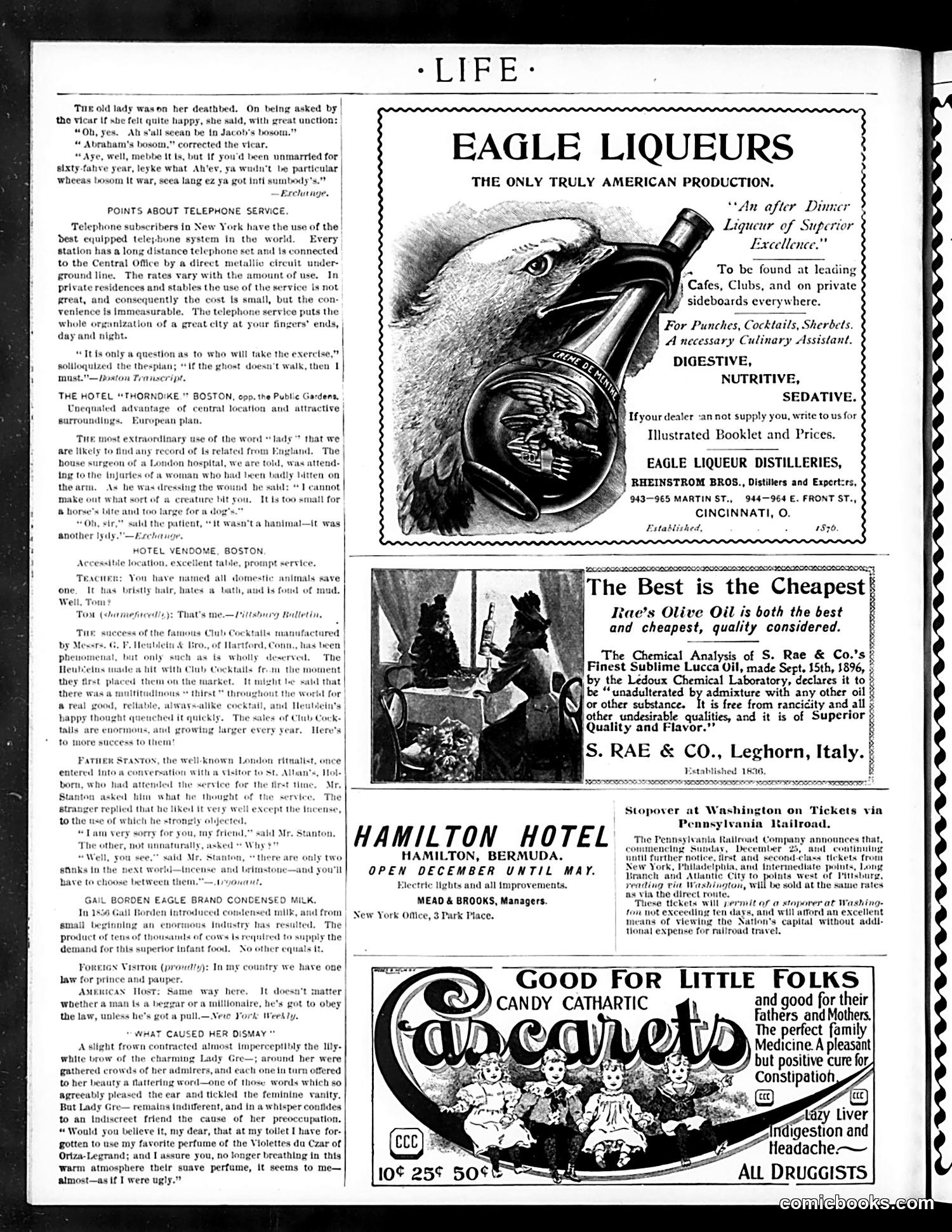 Life — February 2, 1899 — page 18 of 20