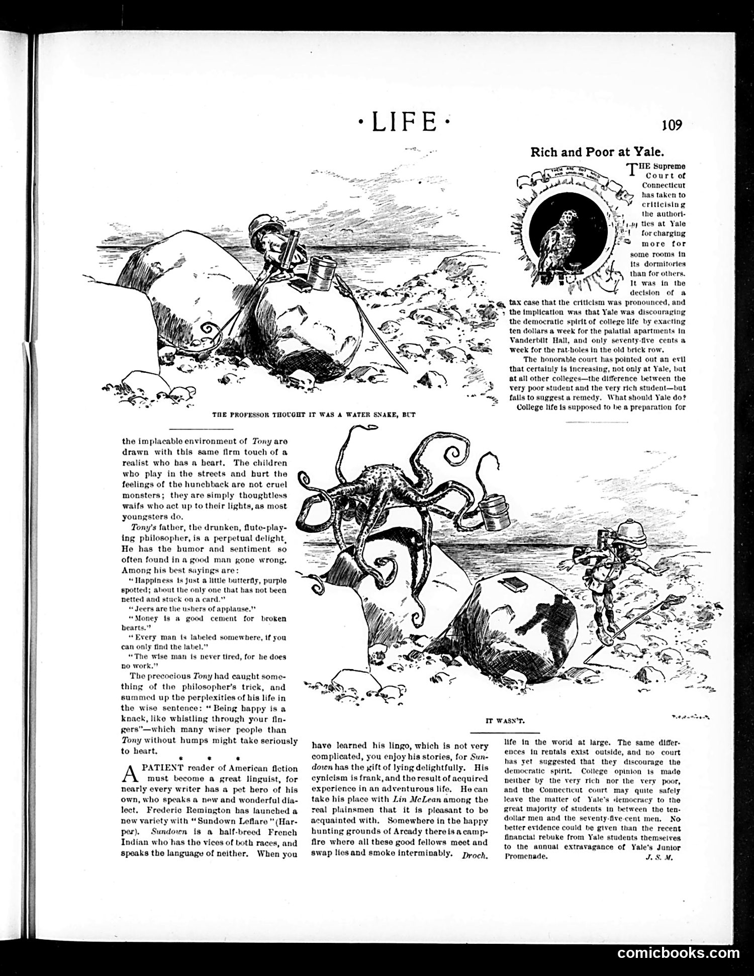 Life — February 9, 1899 — page 9 of 20