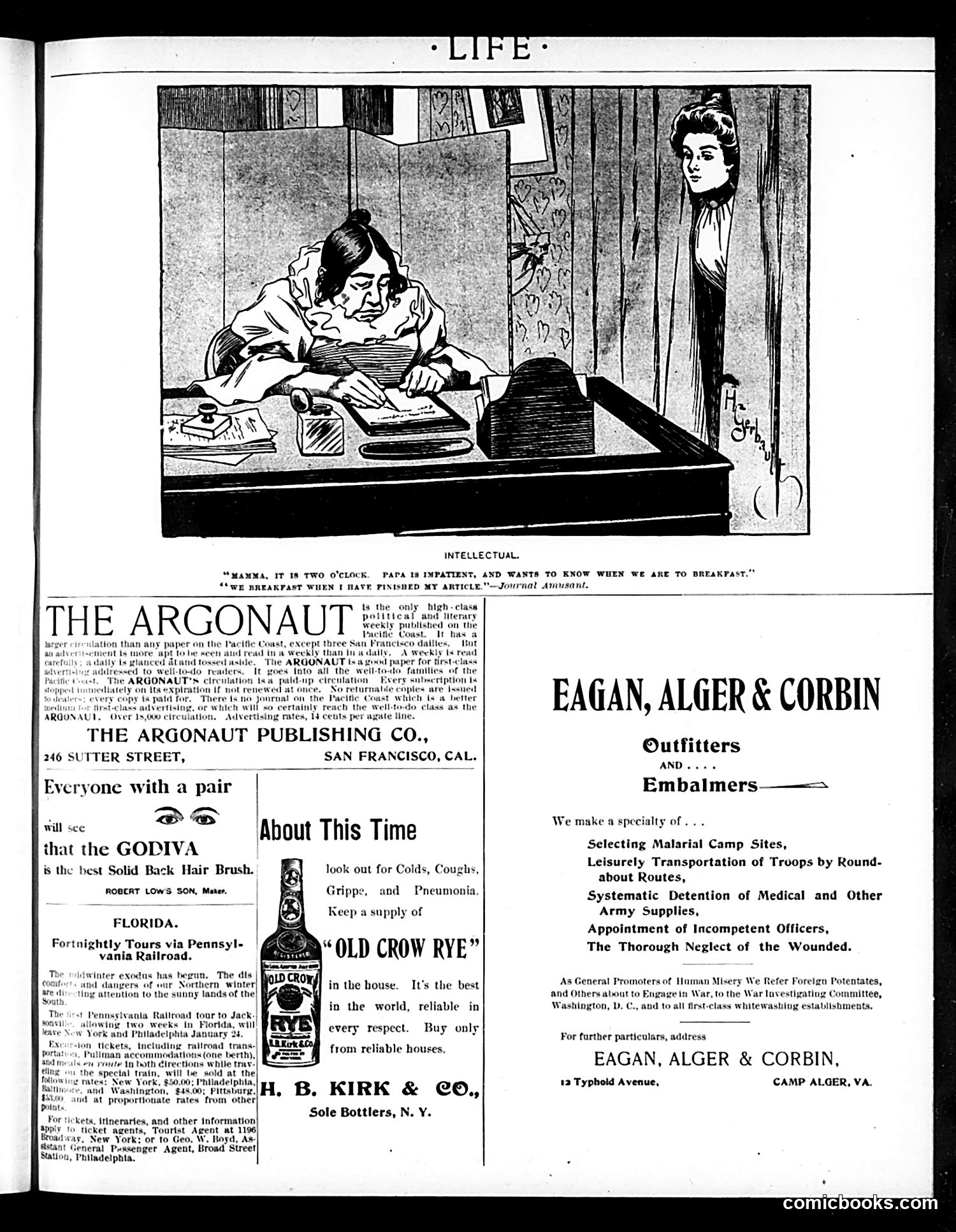 Life — February 9, 1899 — page 19 of 20
