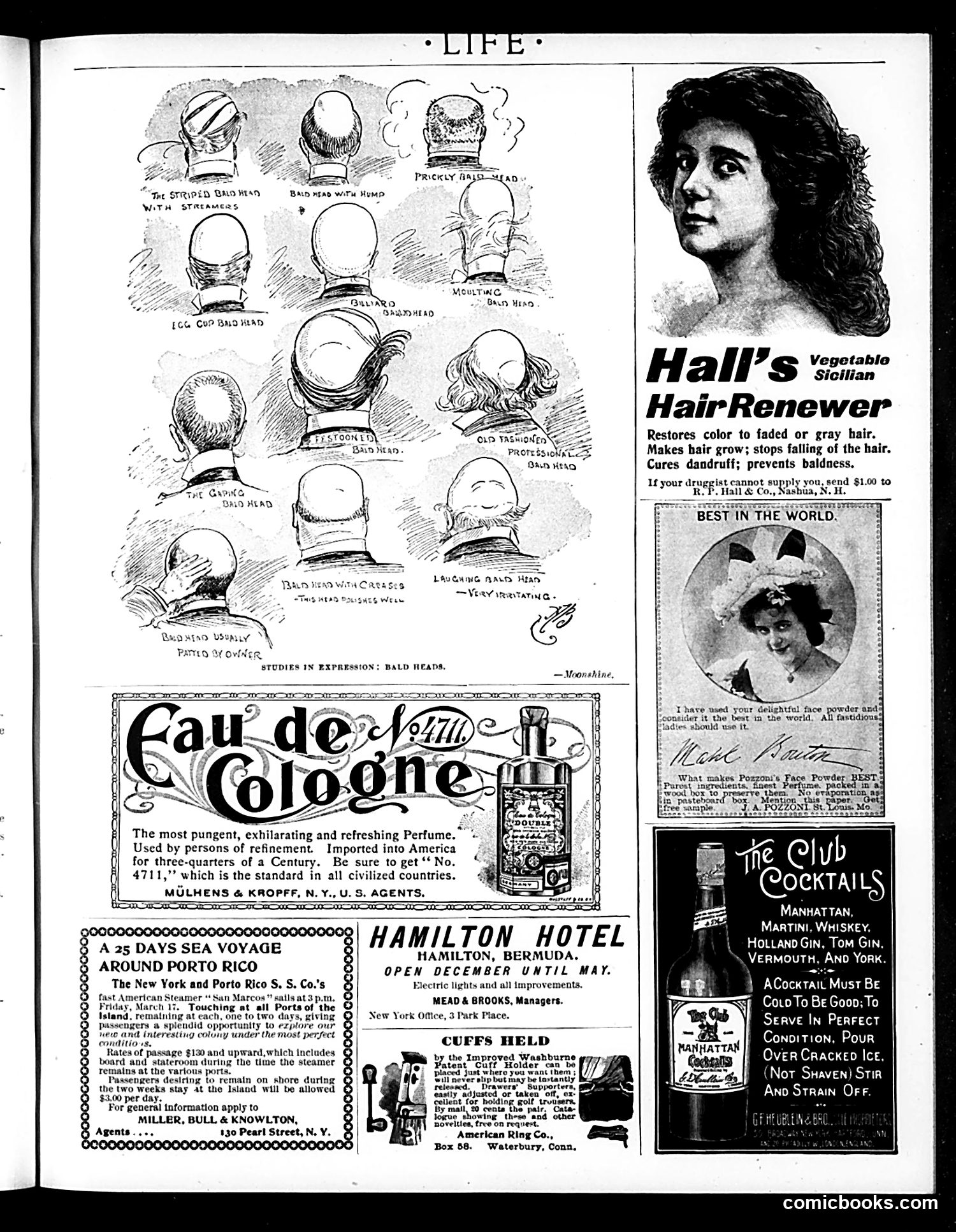 Life — February 16, 1899 — page 19 of 20