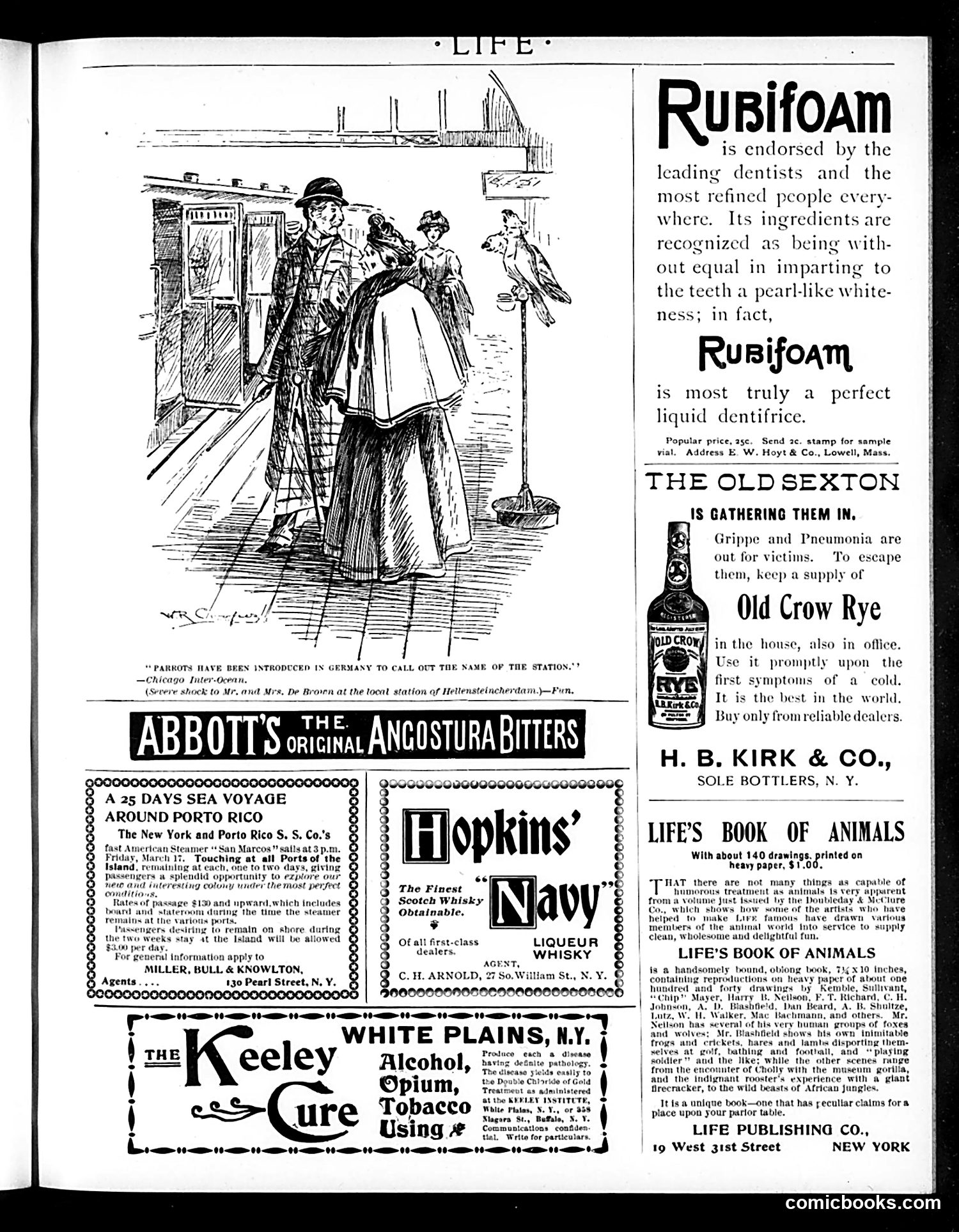 Life — February 23, 1899 — page 19 of 20