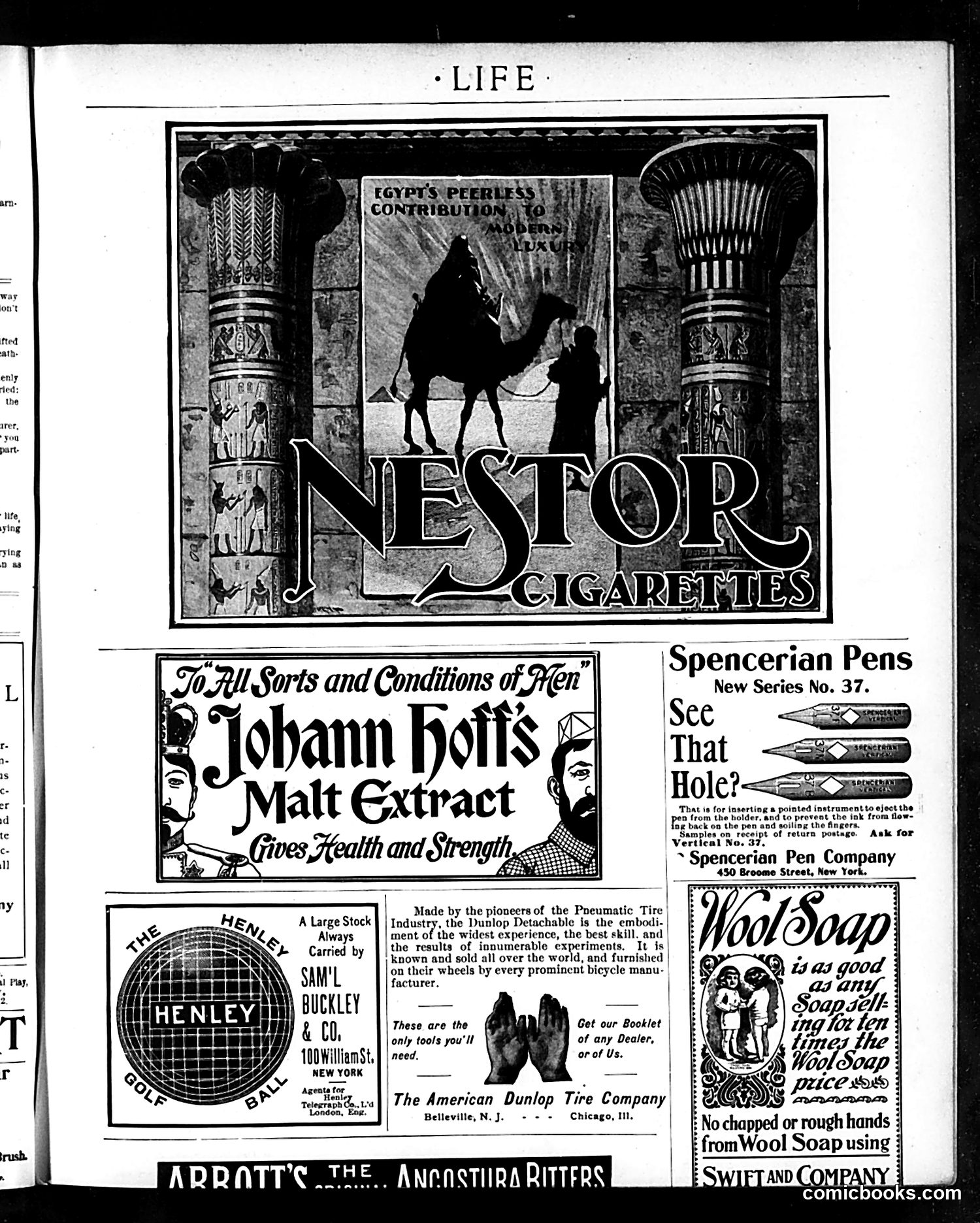 Life — March 23, 1899 — page 17 of 20