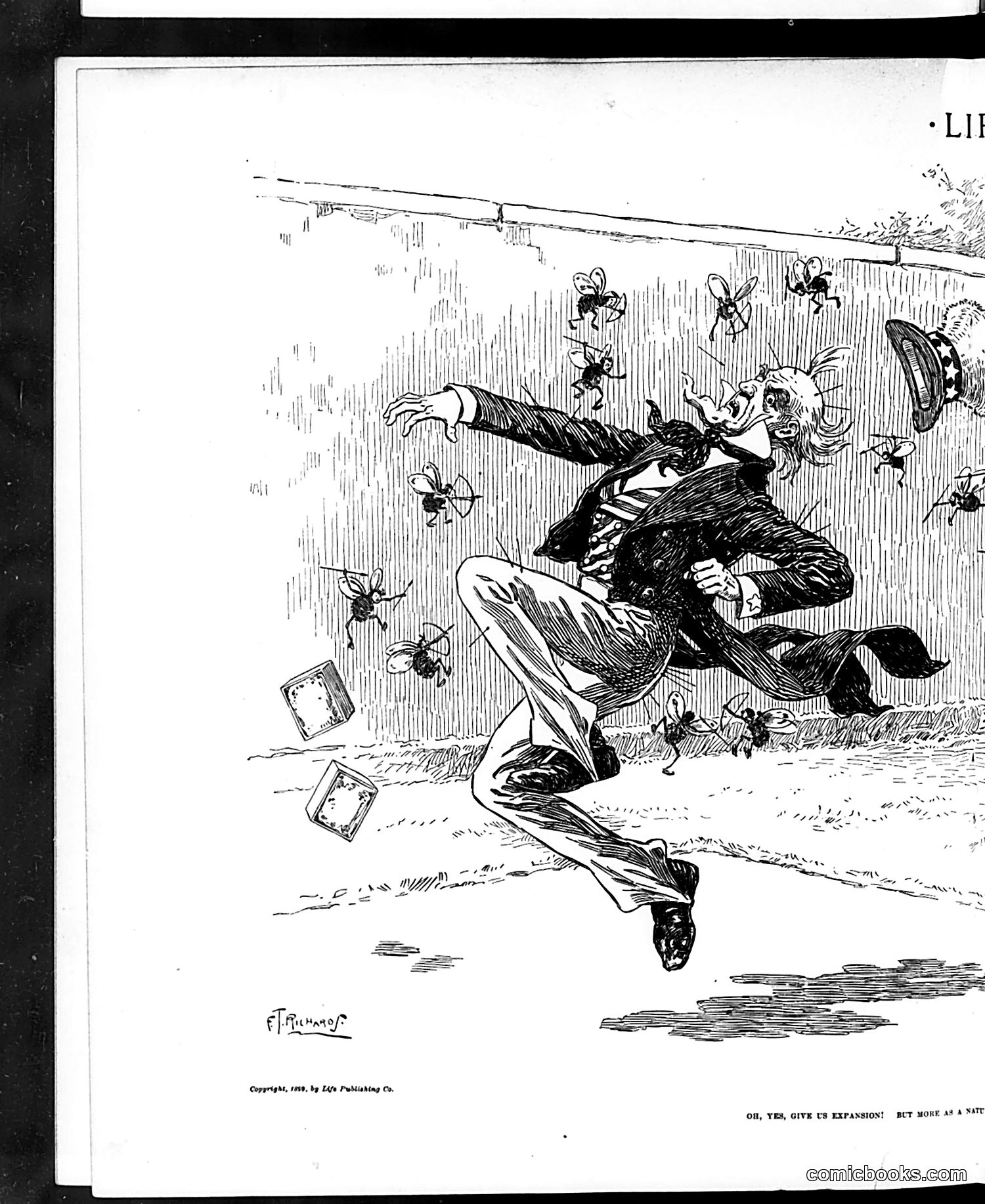 Life — May 11, 1899 — page 10 of 20