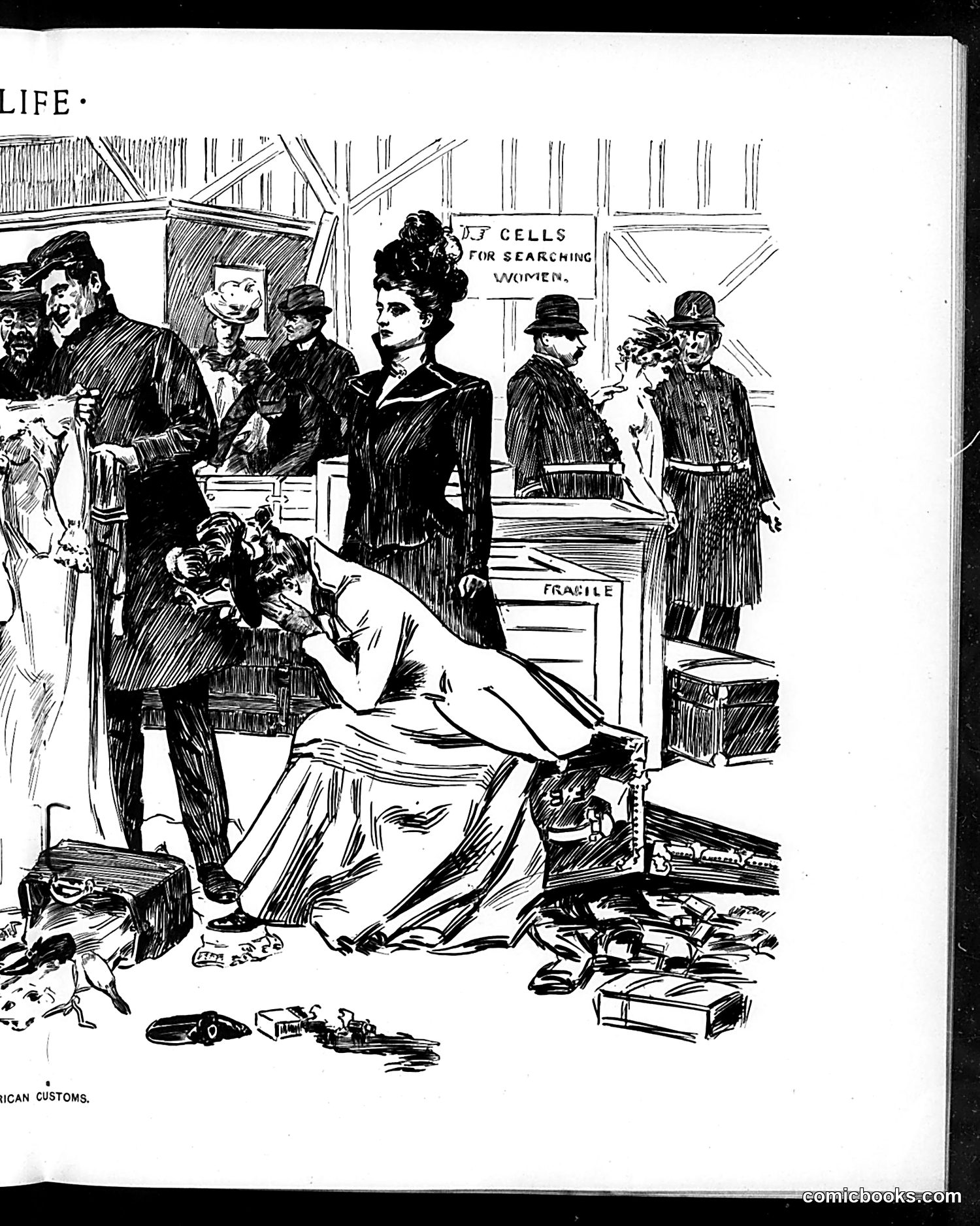 Life — May 25, 1899 — page 11 of 20