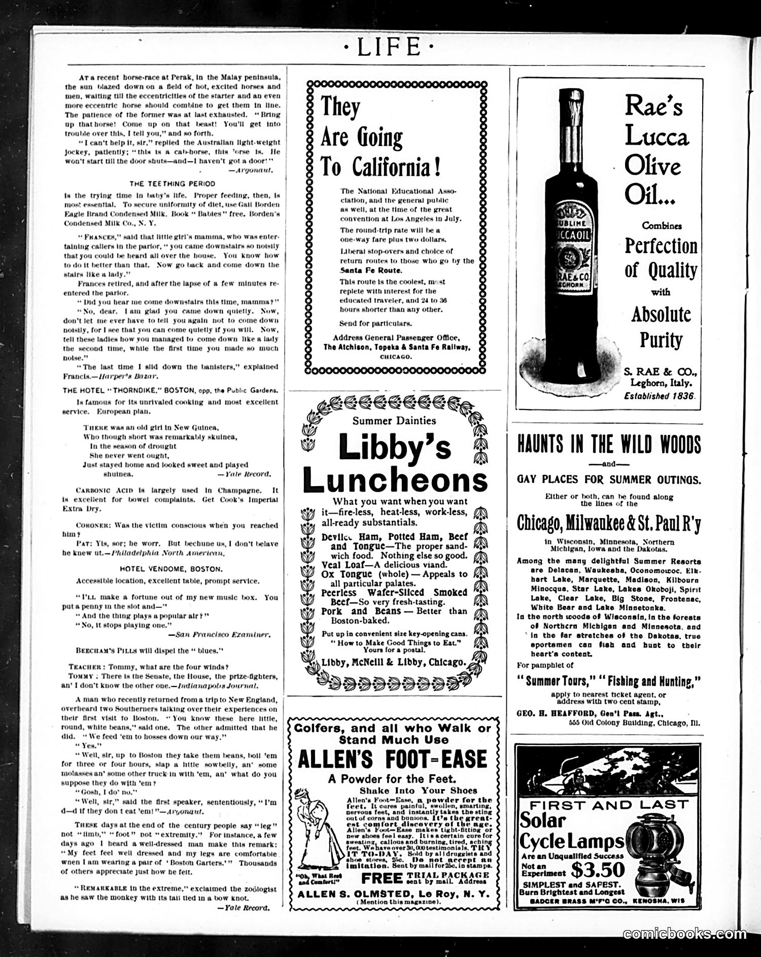 Life — June 8, 1899 — page 18 of 20