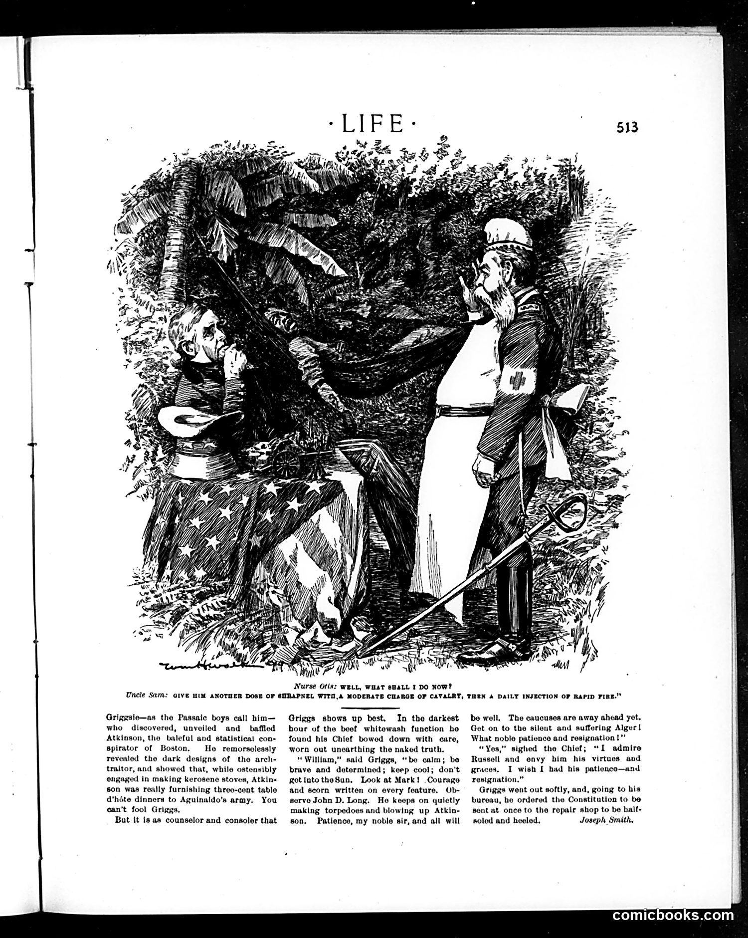 Life — June 15, 1899 — page 15 of 20