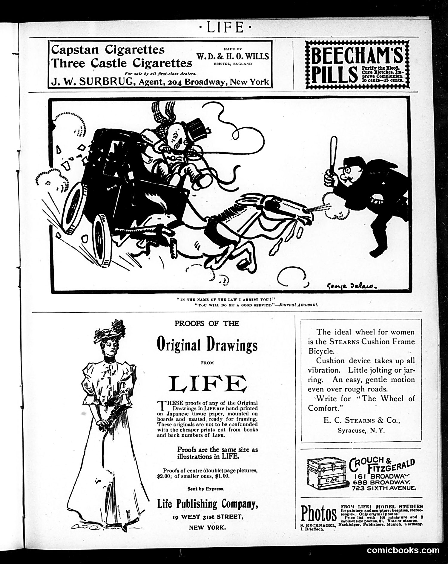 Life — June 15, 1899 — page 19 of 20