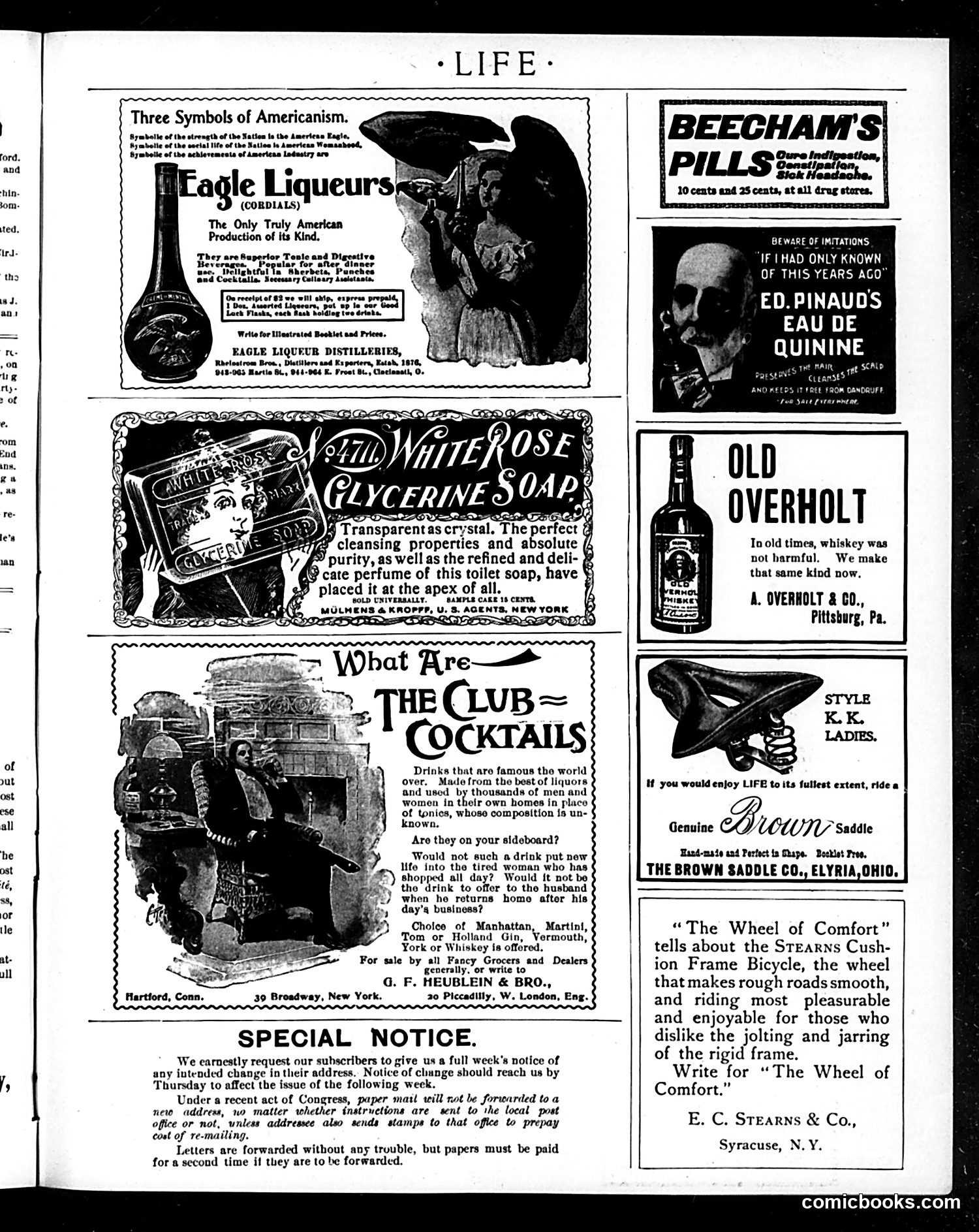 Life — June 22, 1899 — page 17 of 20